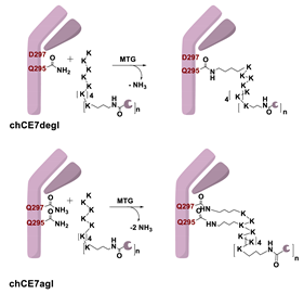 Molecules 26 03492 i028