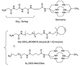 Molecules 26 03492 i039