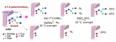 Molecules 26 03492 i050