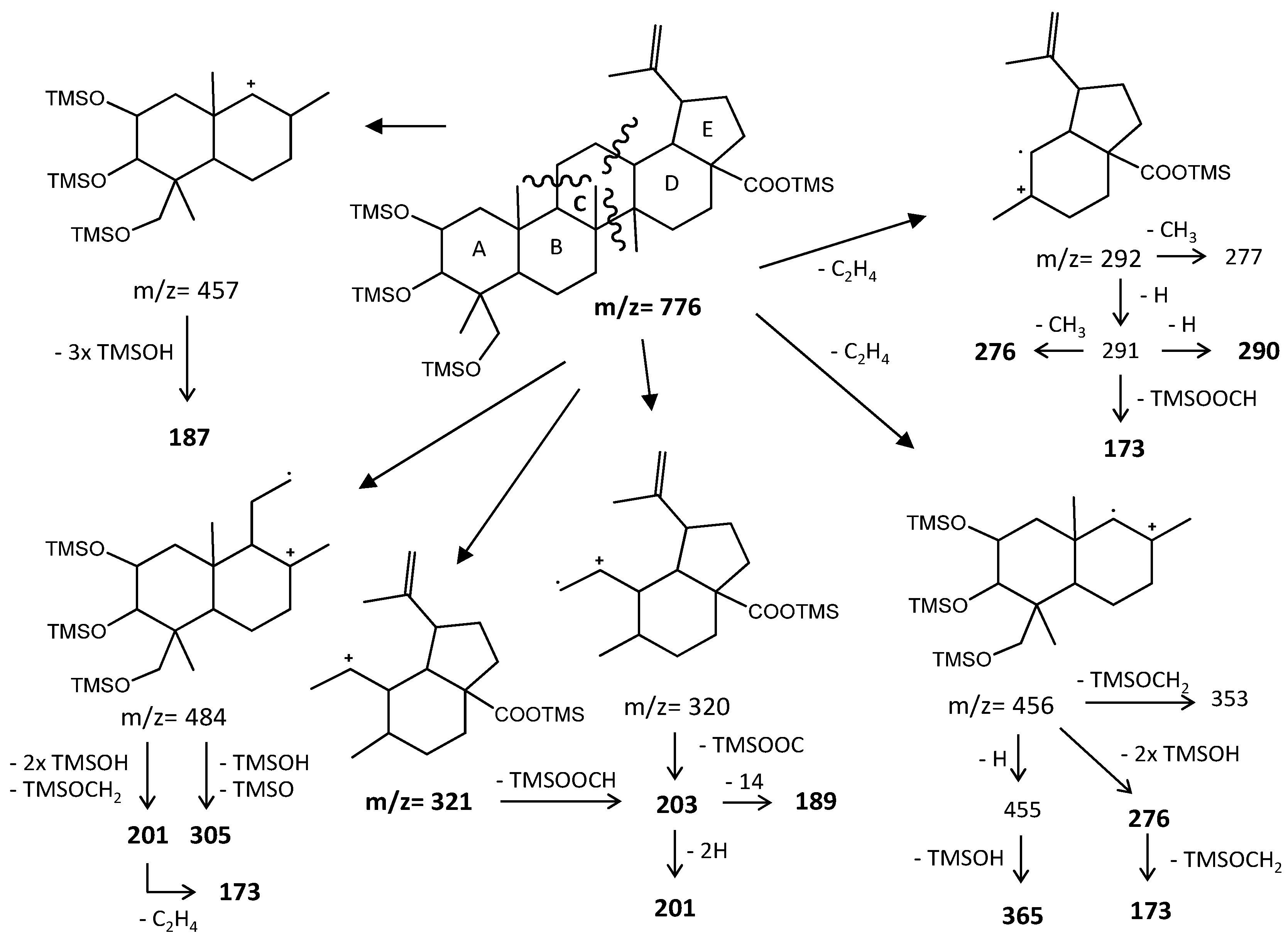 Molecules 26 03495 g008 Molecules 26 03495 g008