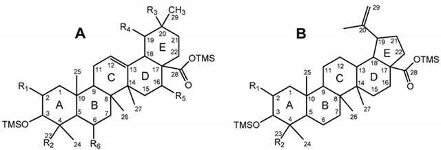 Molecules 26 03495 i001 Molecules 26 03495 i001