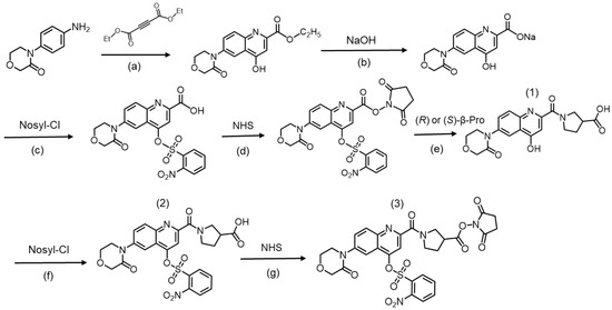 Molecules 26 03498 g008