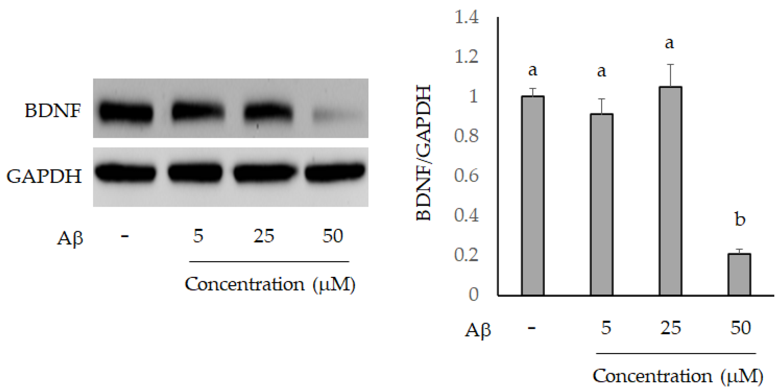 Molecules 26 03503 g005 Molecules 26 03503 g005