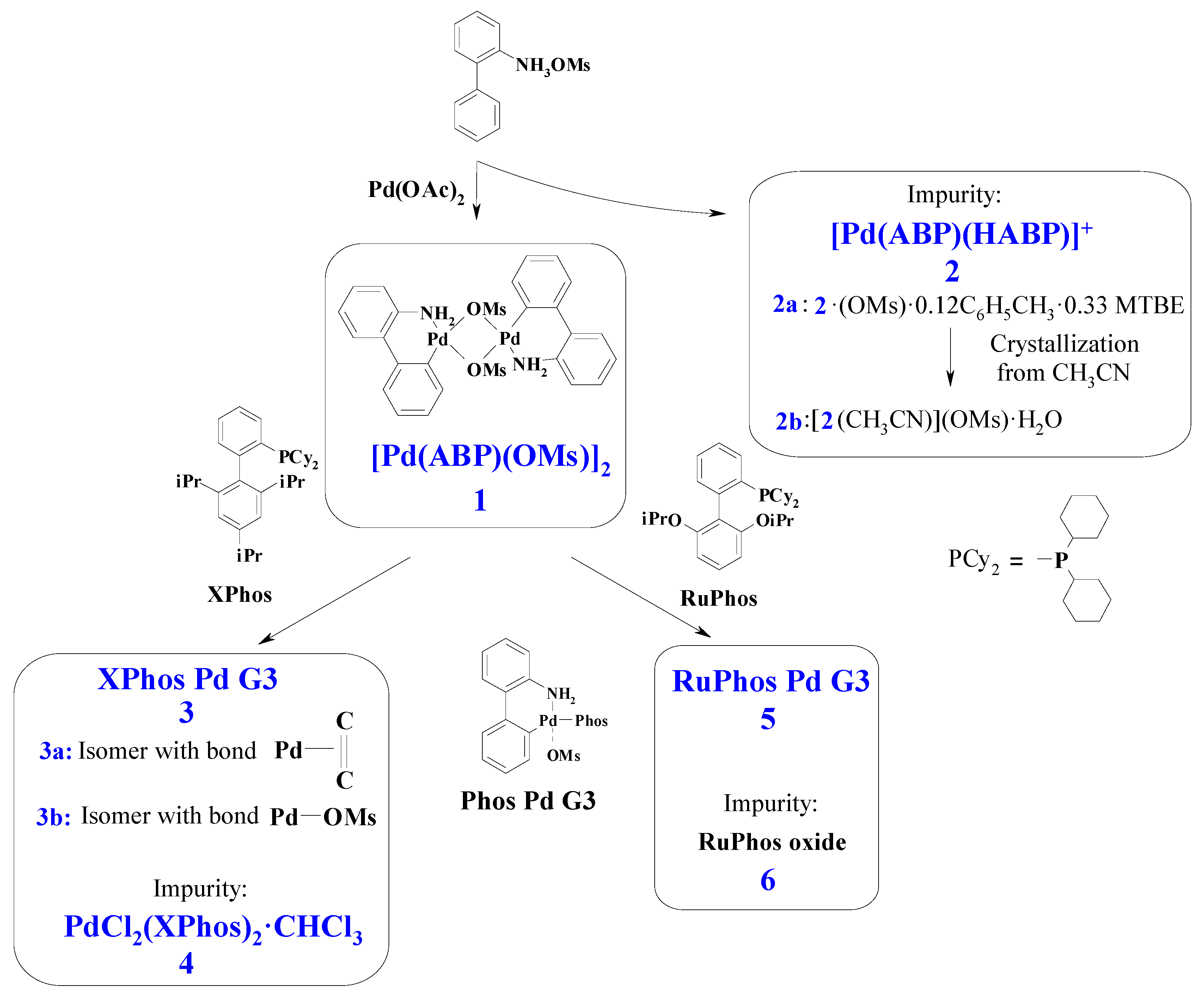 Molecules 26 03507 g001 Molecules 26 03507 g001