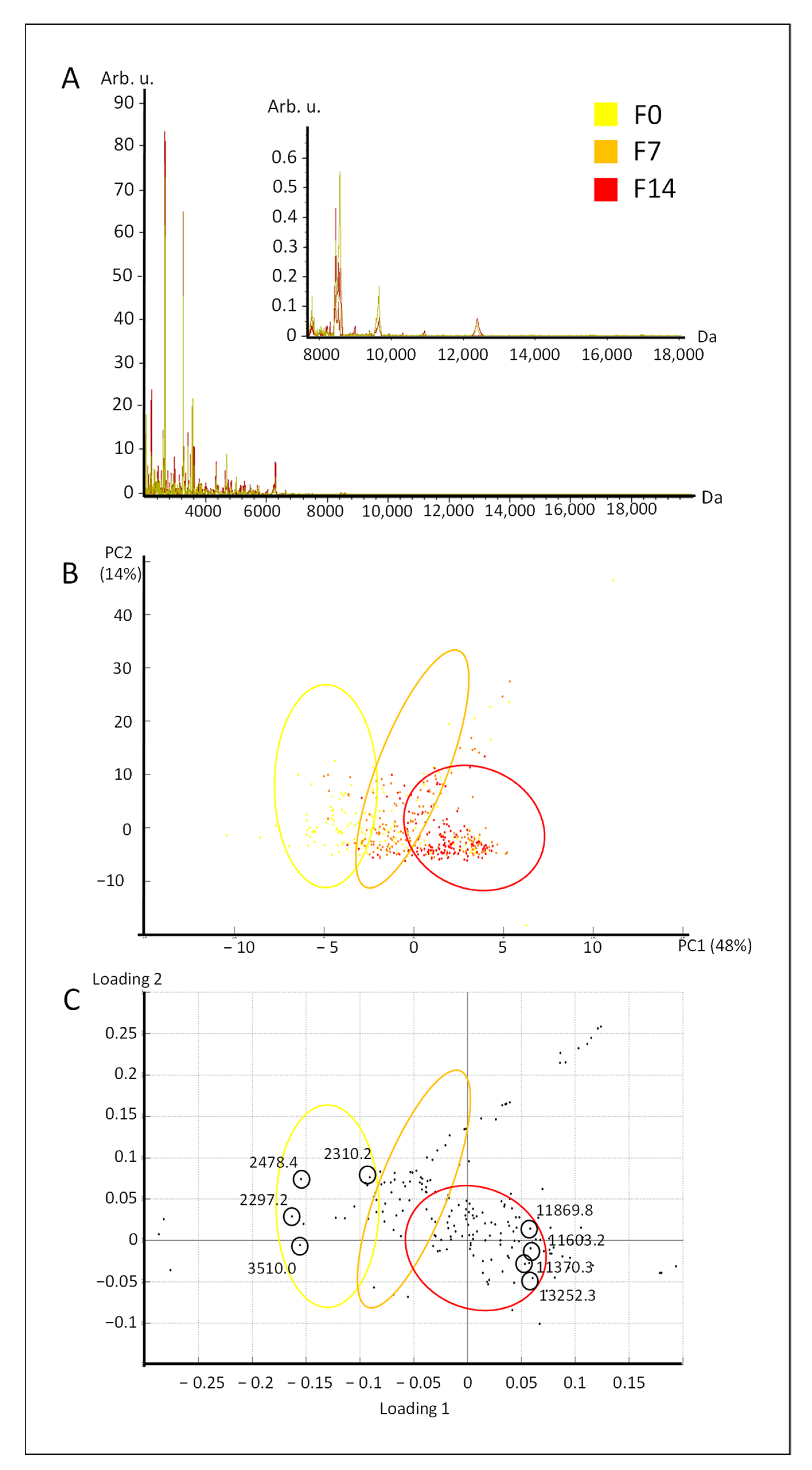 Molecules 26 03508 g001 Molecules 26 03508 g001
