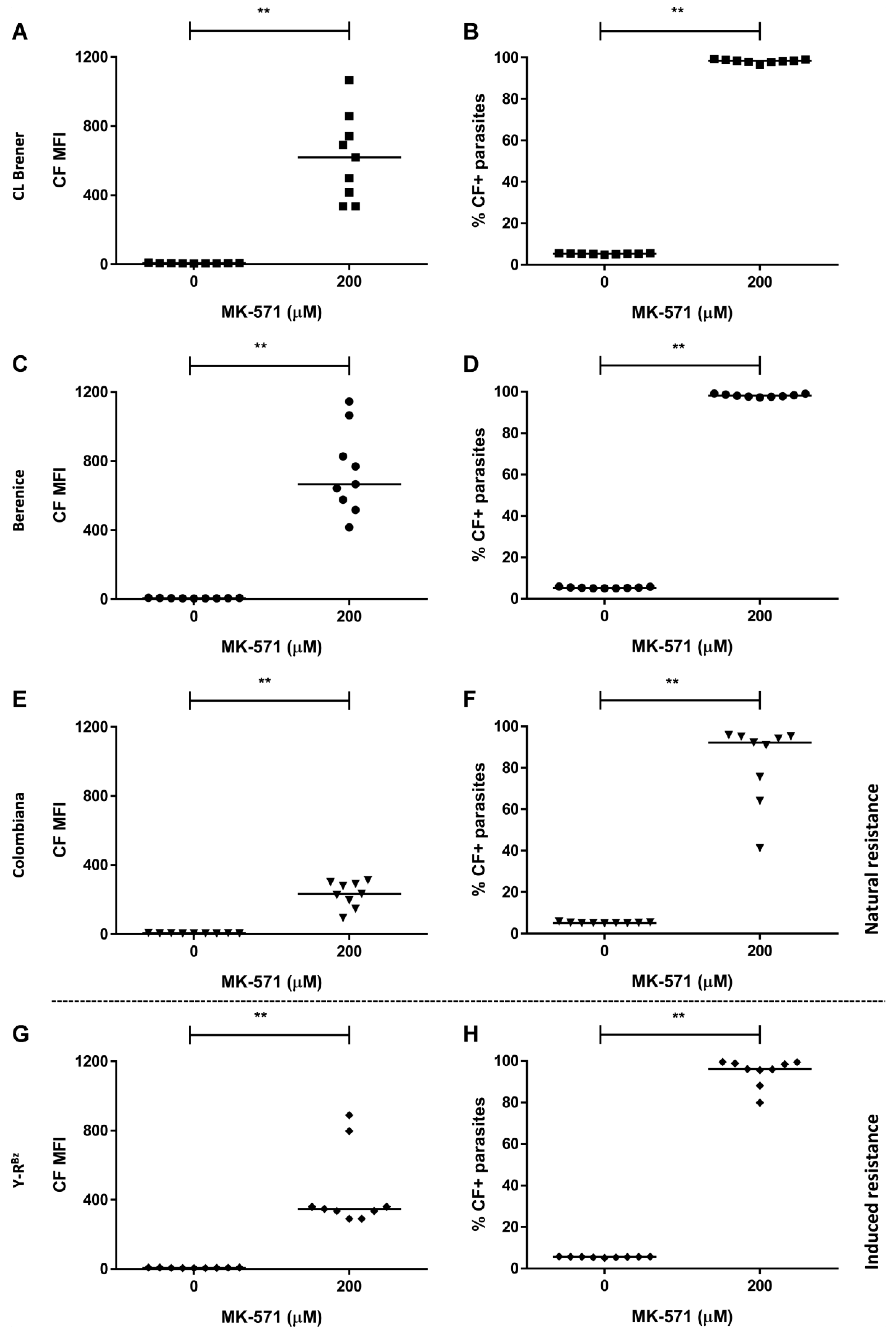 Molecules 26 03510 g006