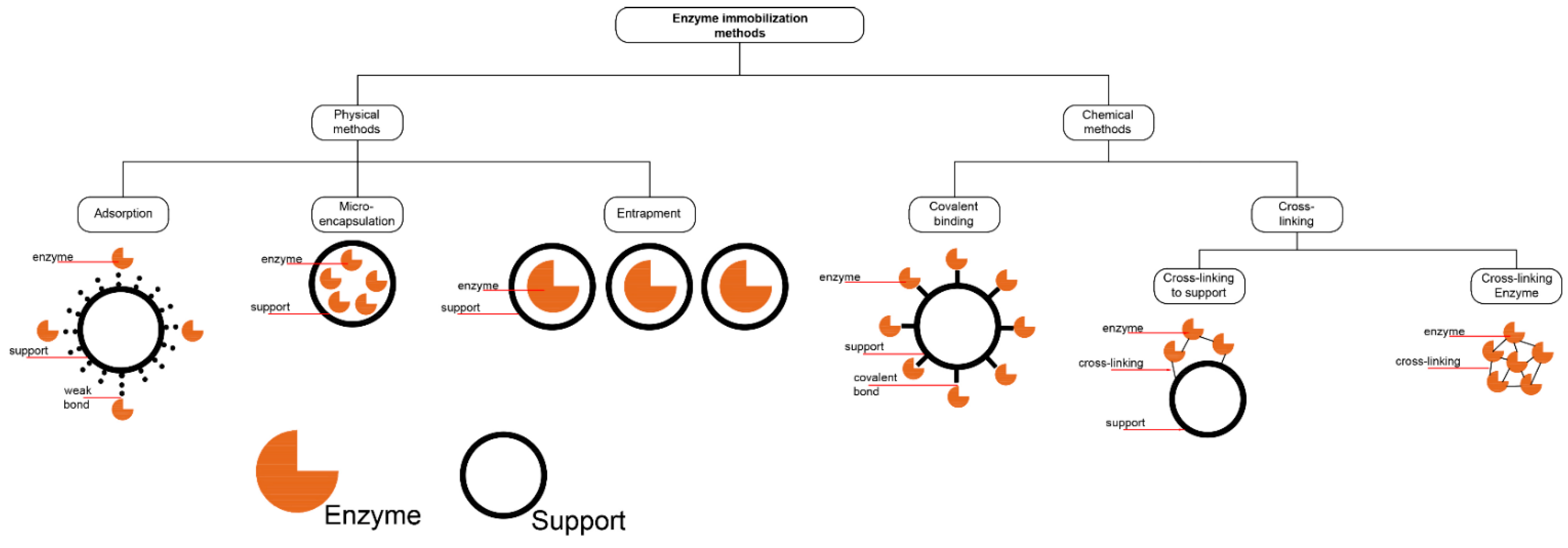 Molecules 26 03512 g001