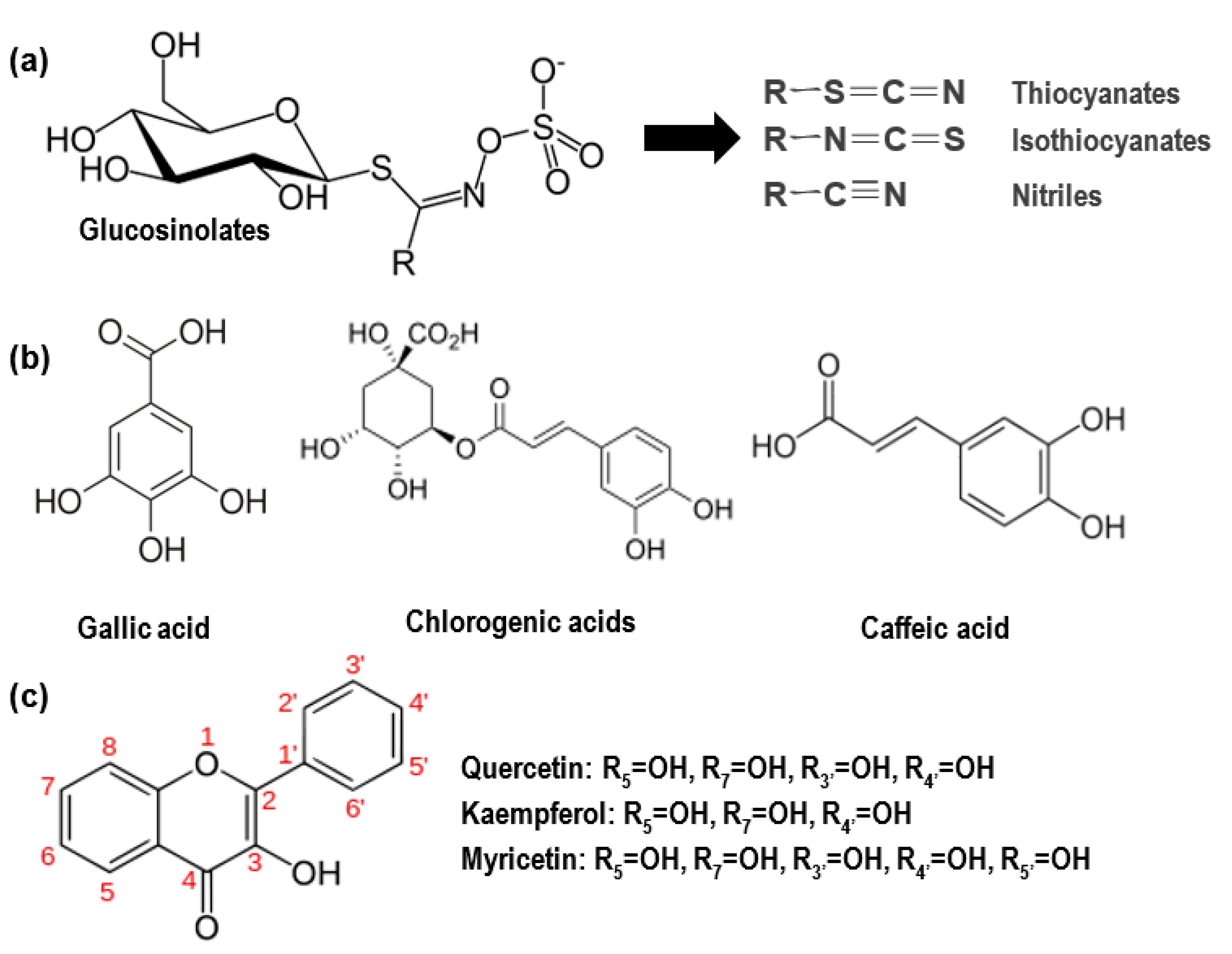Molecules 26 03513 g008