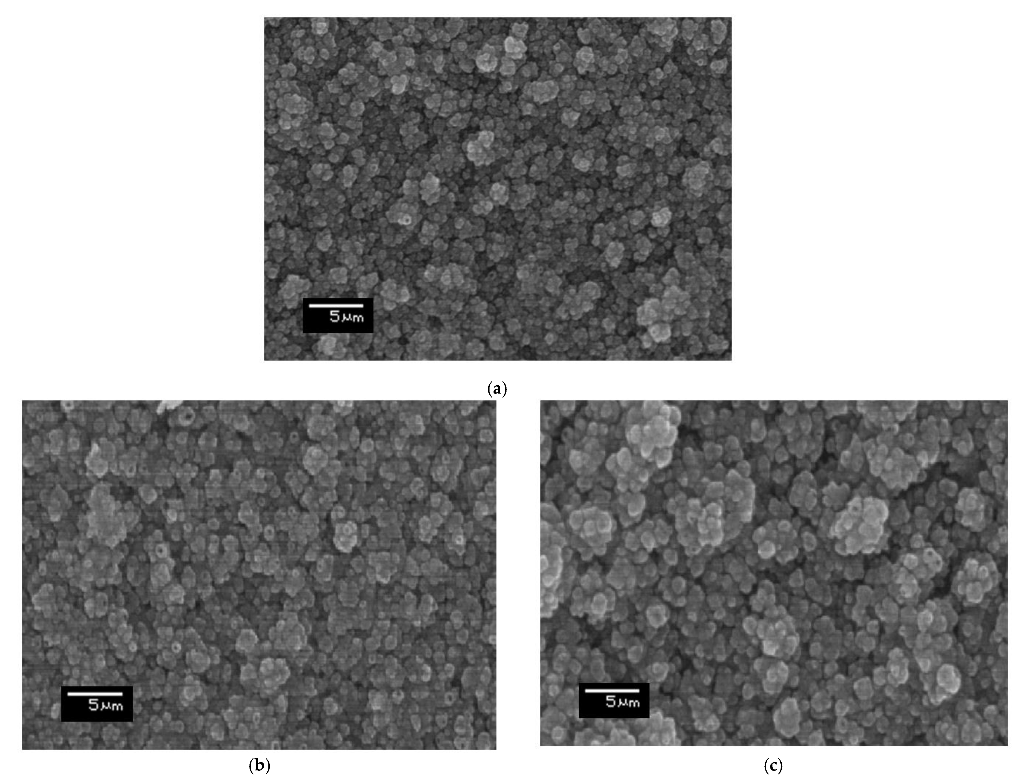 Molecules 26 03516 g002 Molecules 26 03516 g002