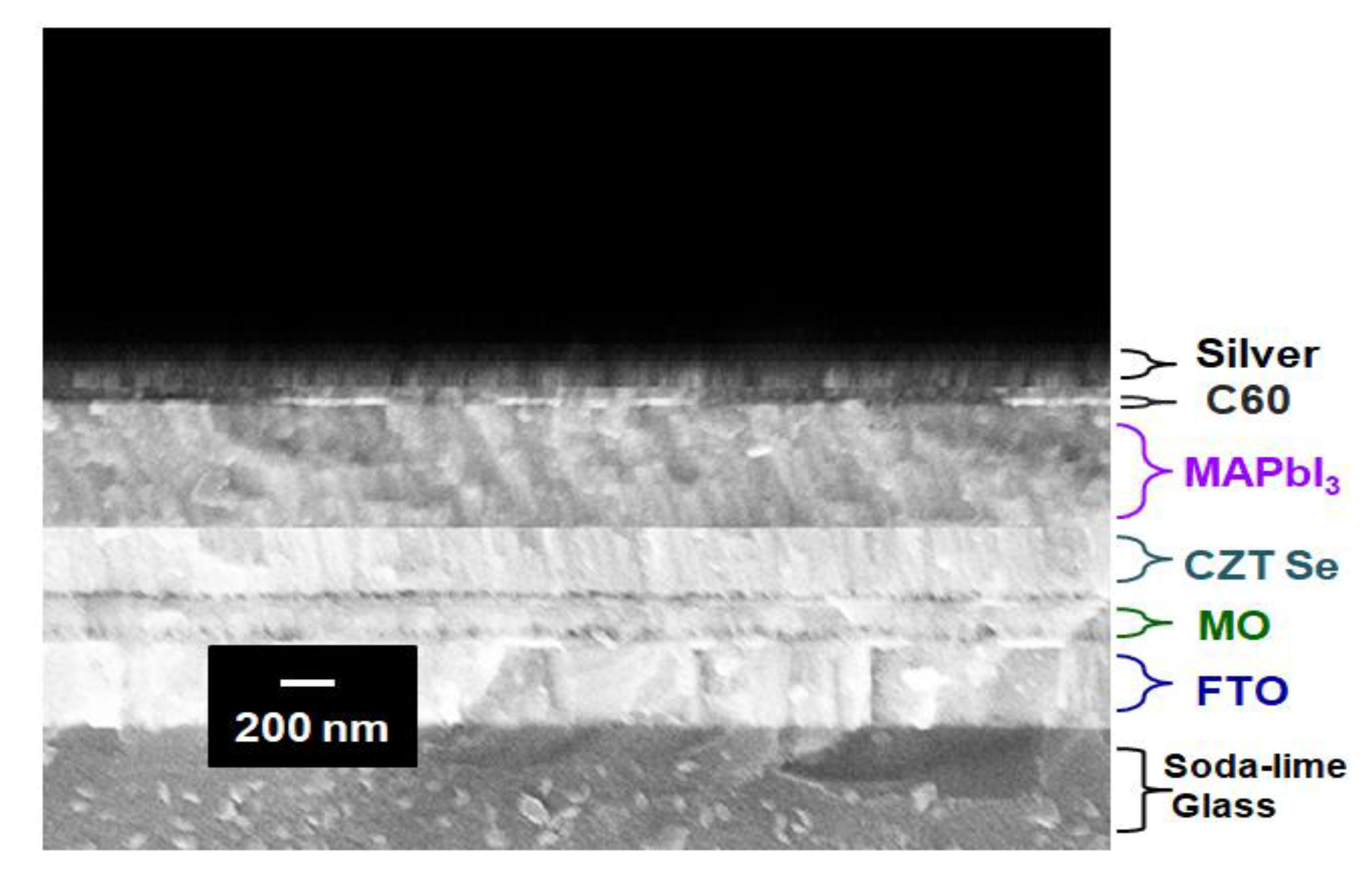 Molecules 26 03516 g005 Molecules 26 03516 g005