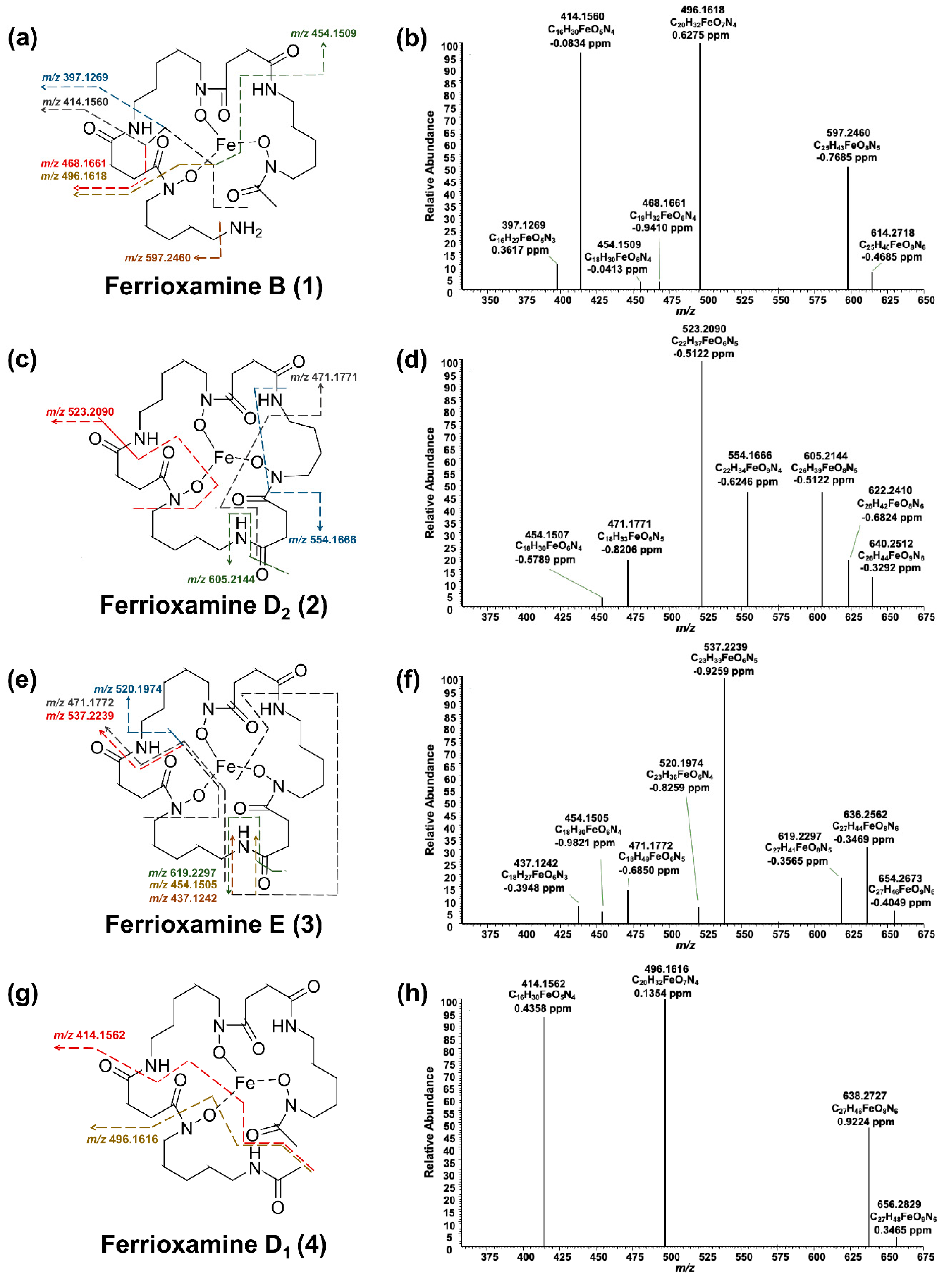 Molecules 26 03517 g004 Molecules 26 03517 g004