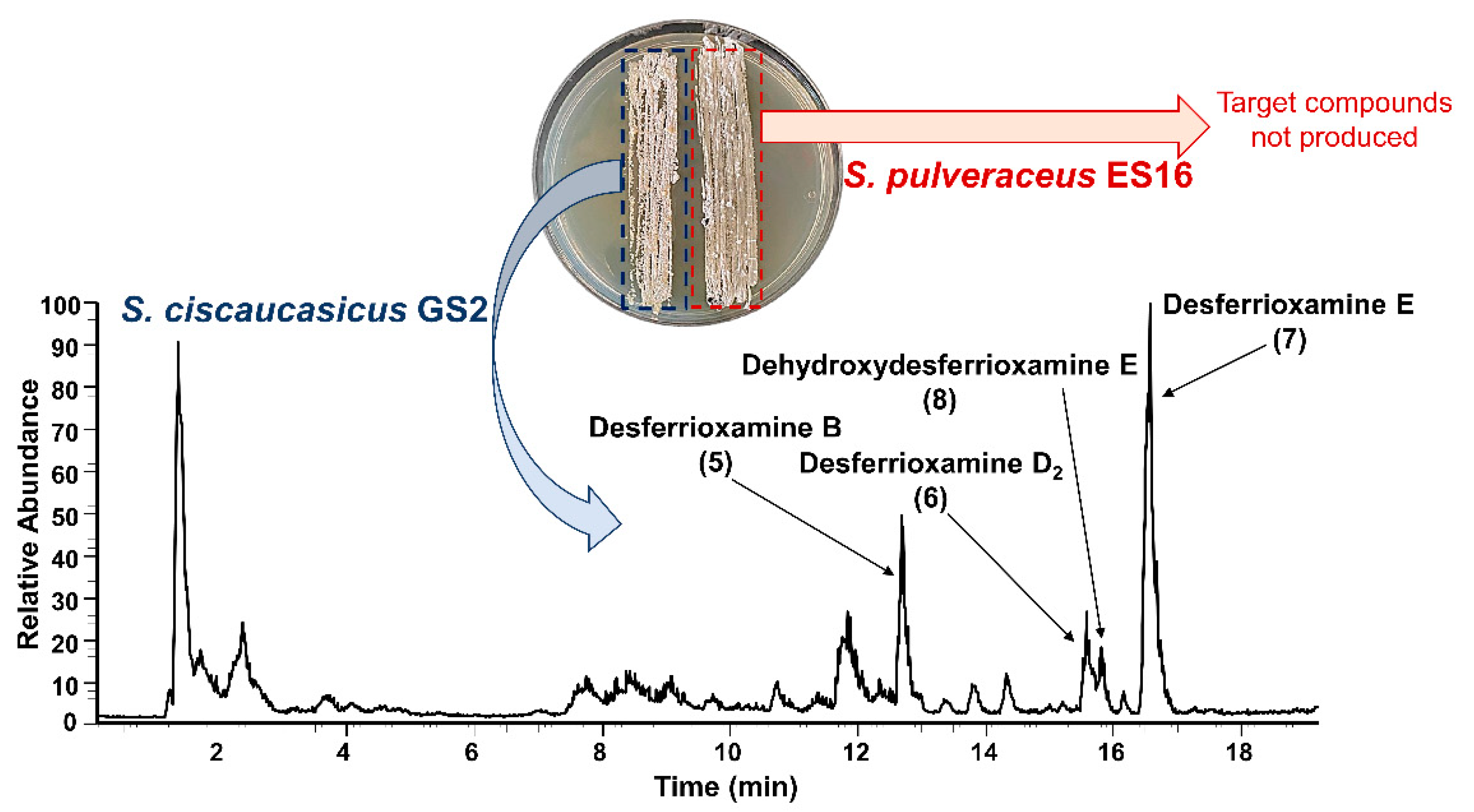 Molecules 26 03517 g005 Molecules 26 03517 g005