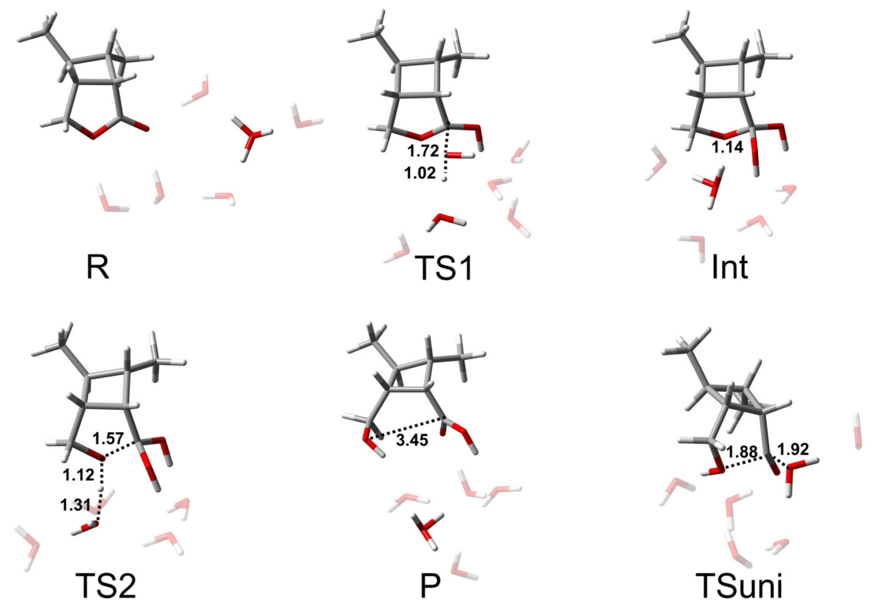 Molecules 26 03519 g006