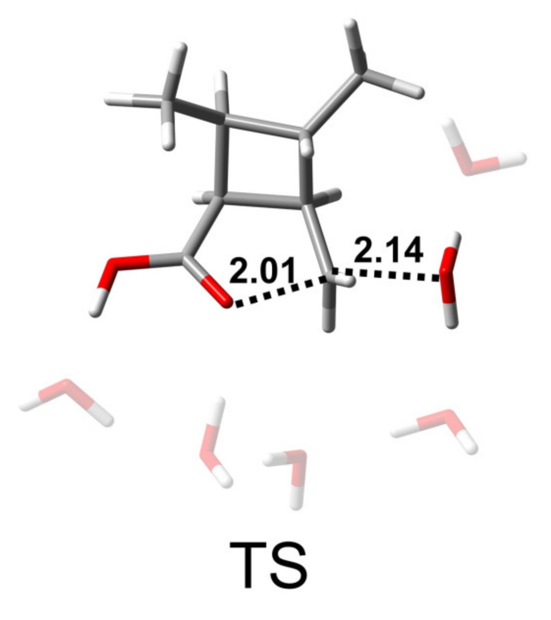 Molecules 26 03519 g007