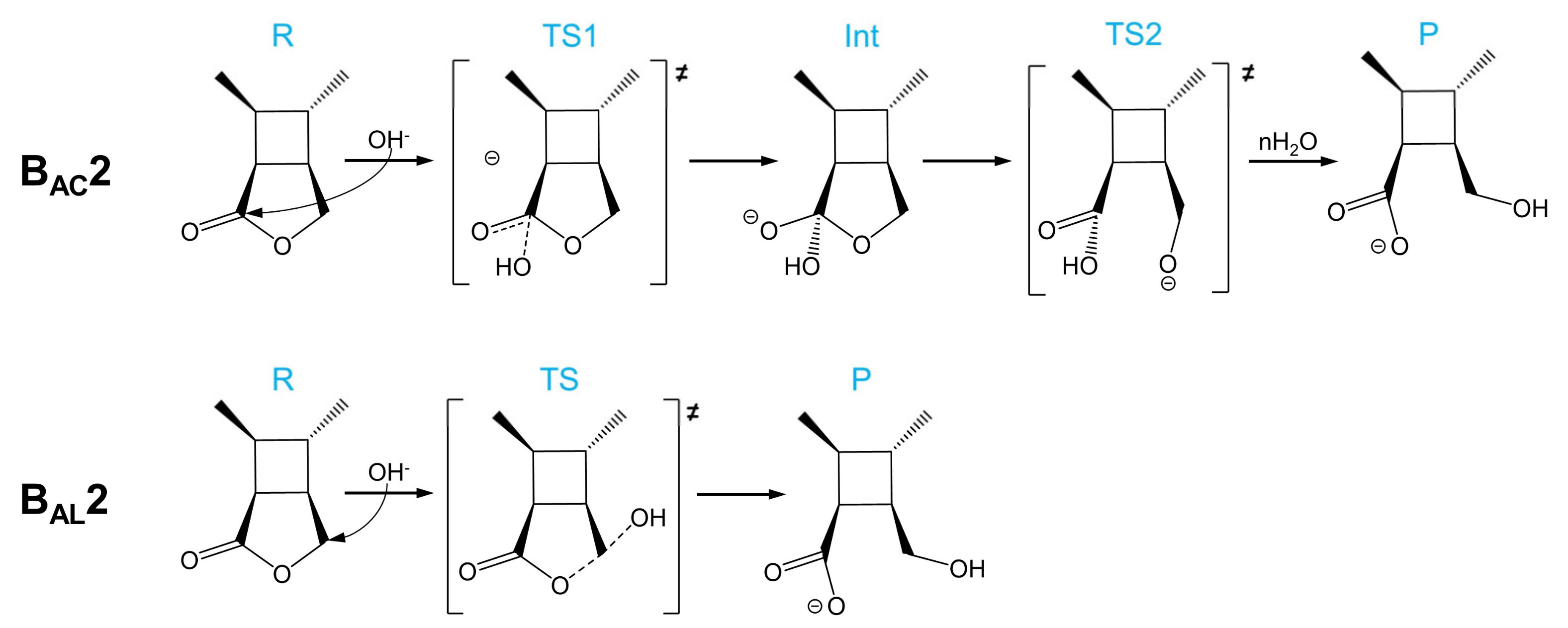 Molecules 26 03519 sch002