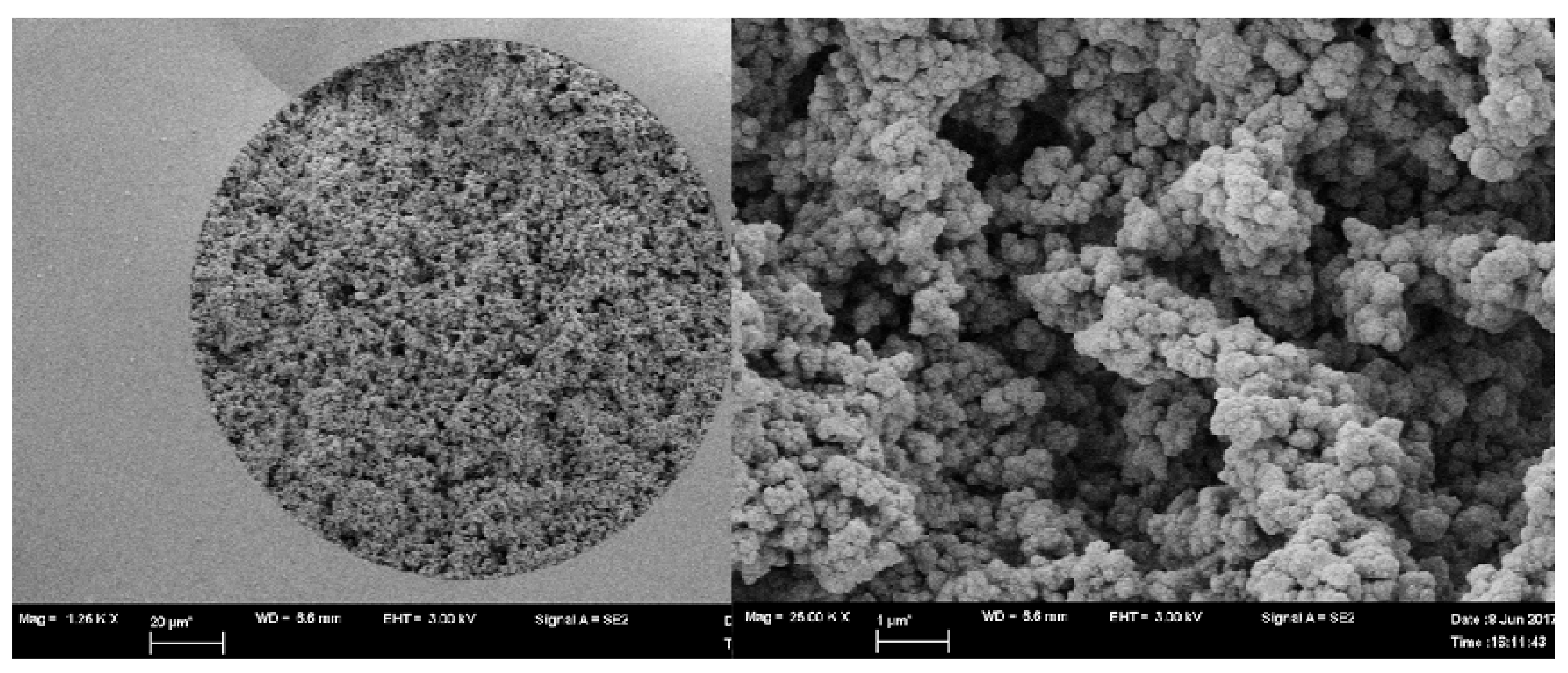Molecules 26 03527 g003