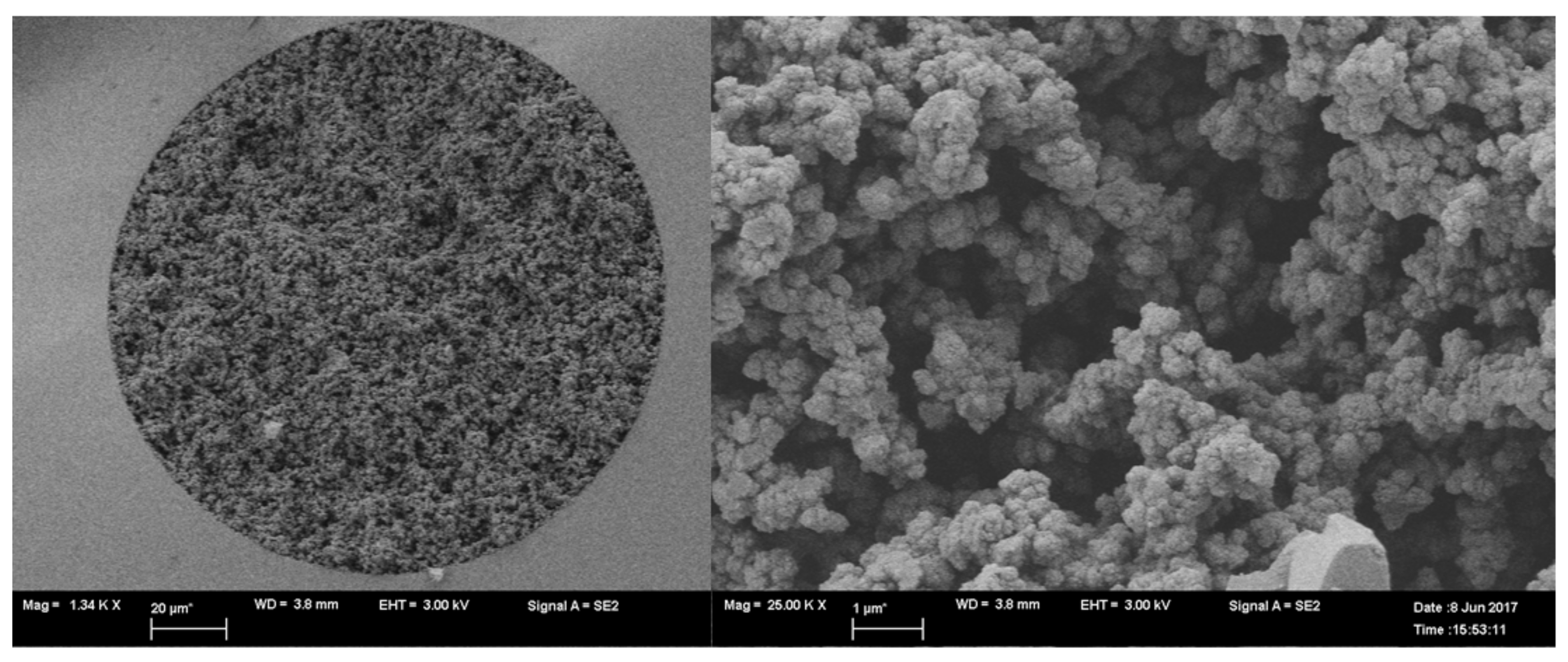 Molecules 26 03527 g004