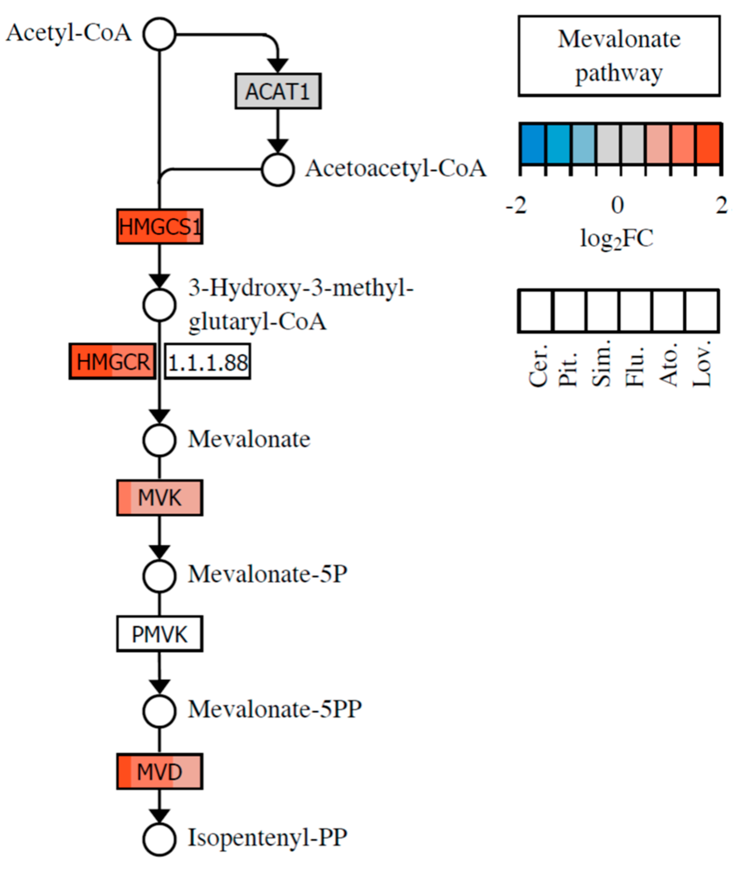 Molecules 26 03528 g002