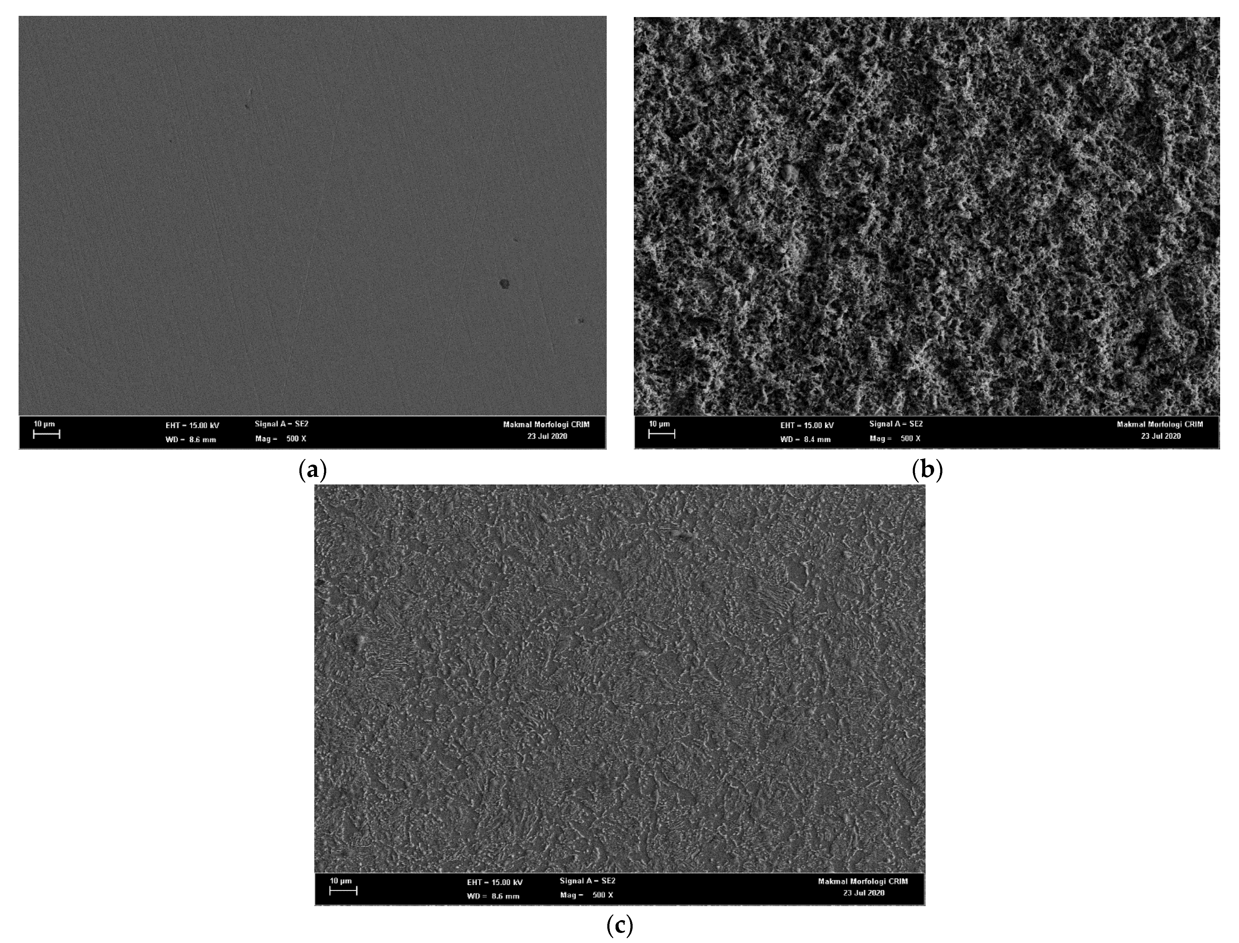 Molecules 26 03535 g003