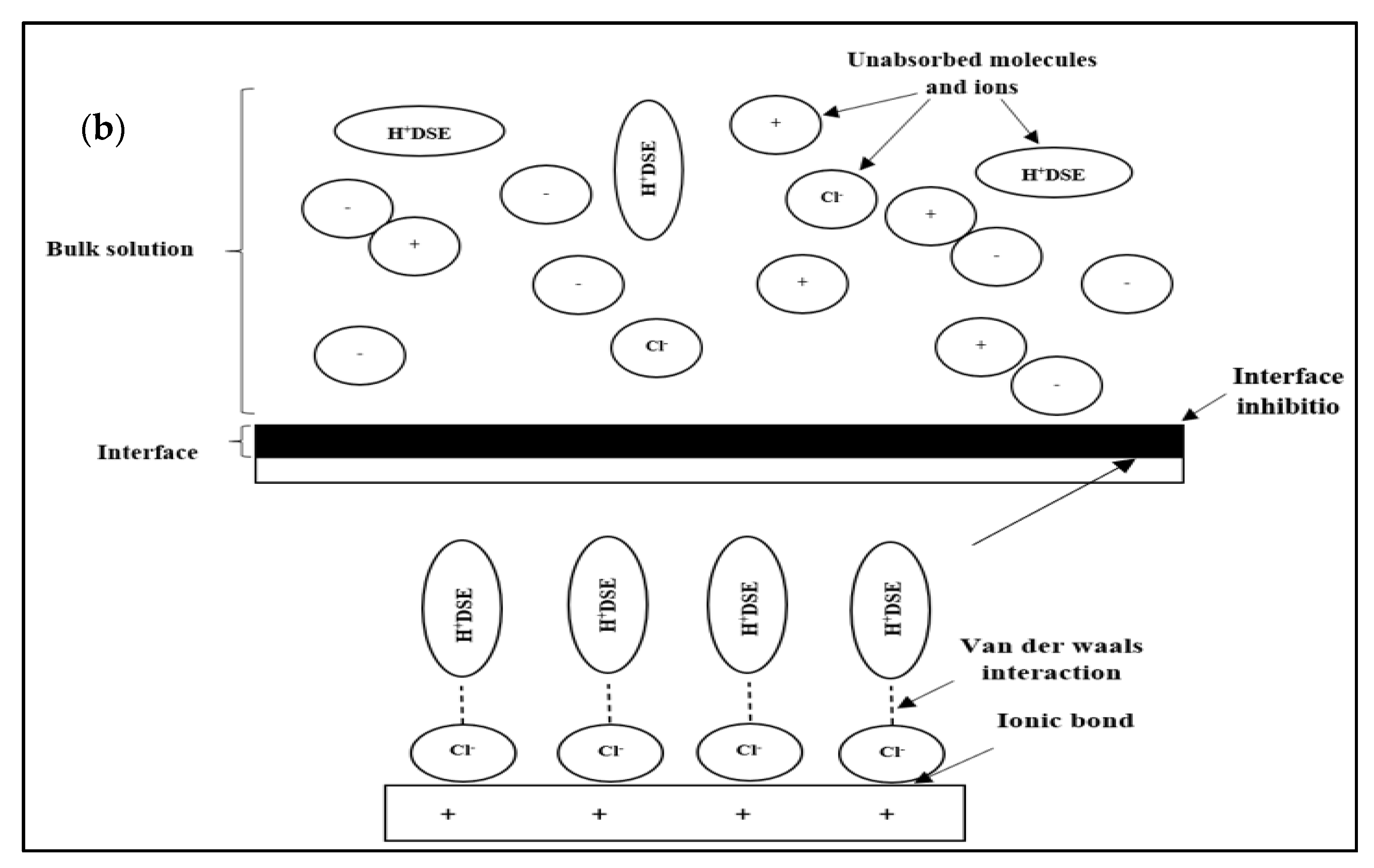 Molecules 26 03535 g010b