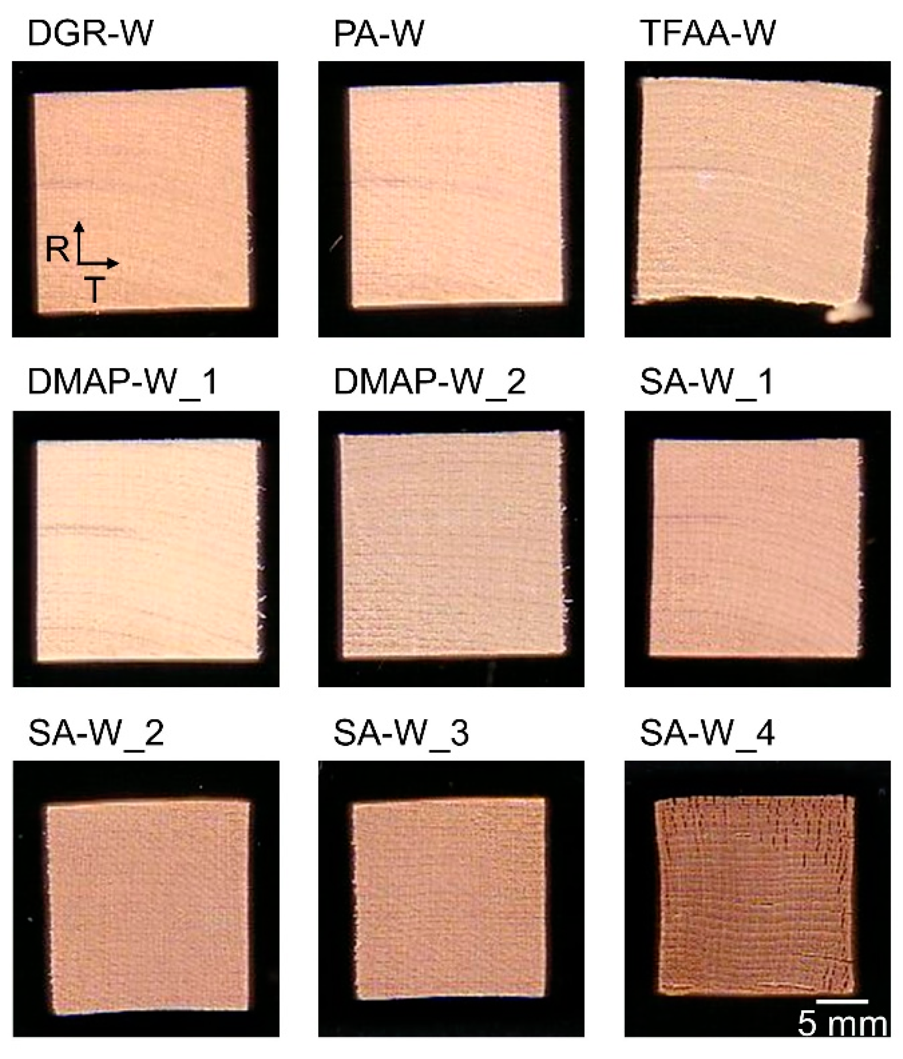 Molecules 26 03539 g001