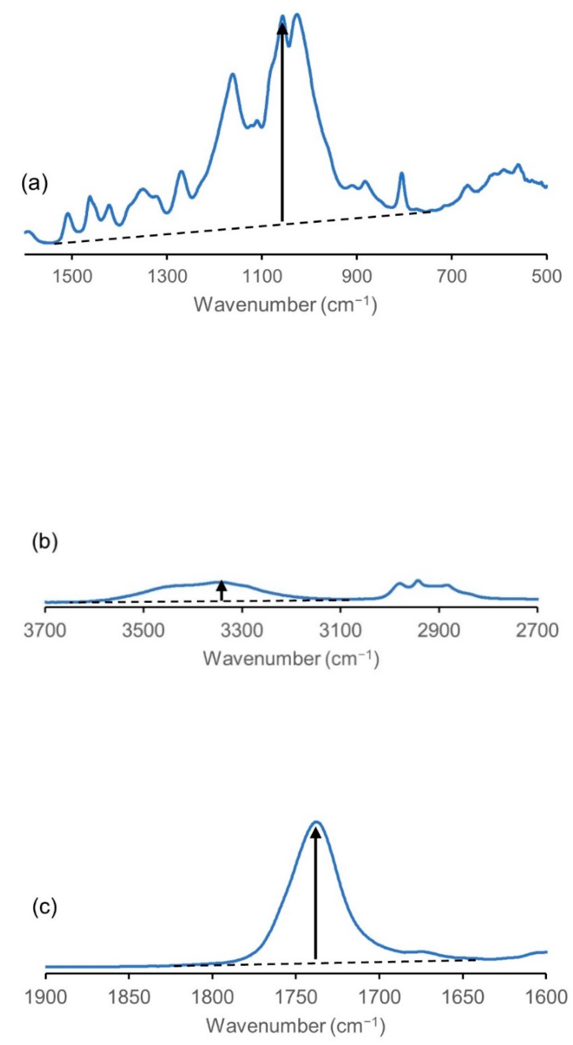 Molecules 26 03539 g003