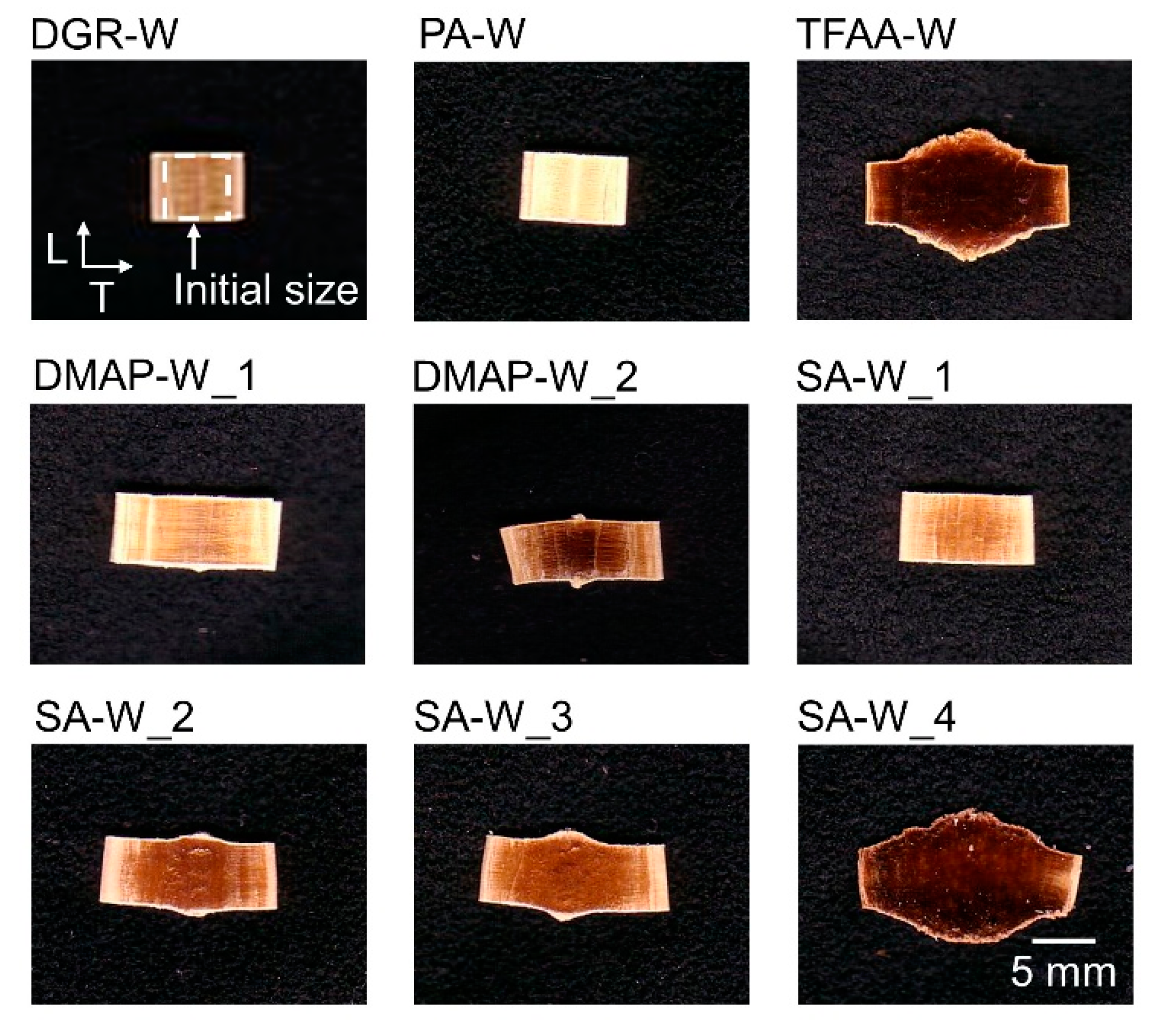 Molecules 26 03539 g006
