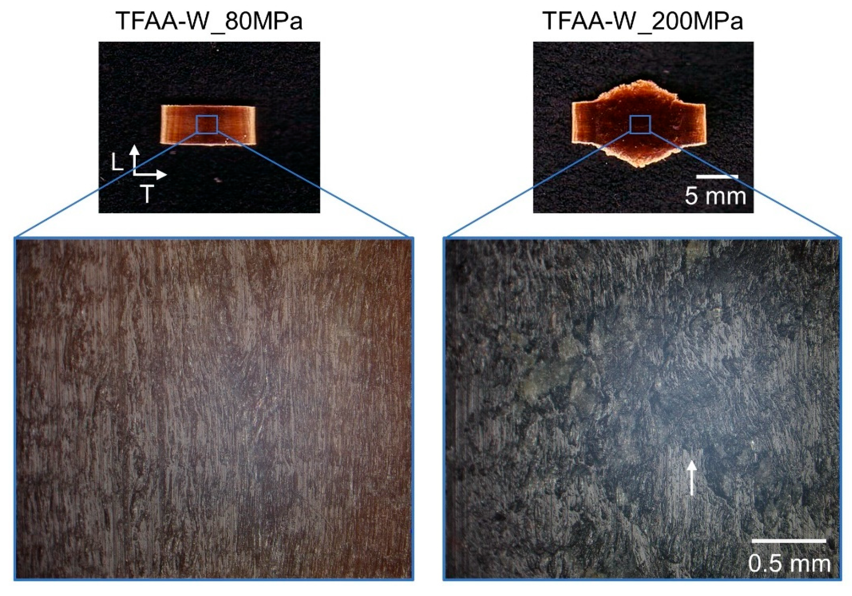 Molecules 26 03539 g009