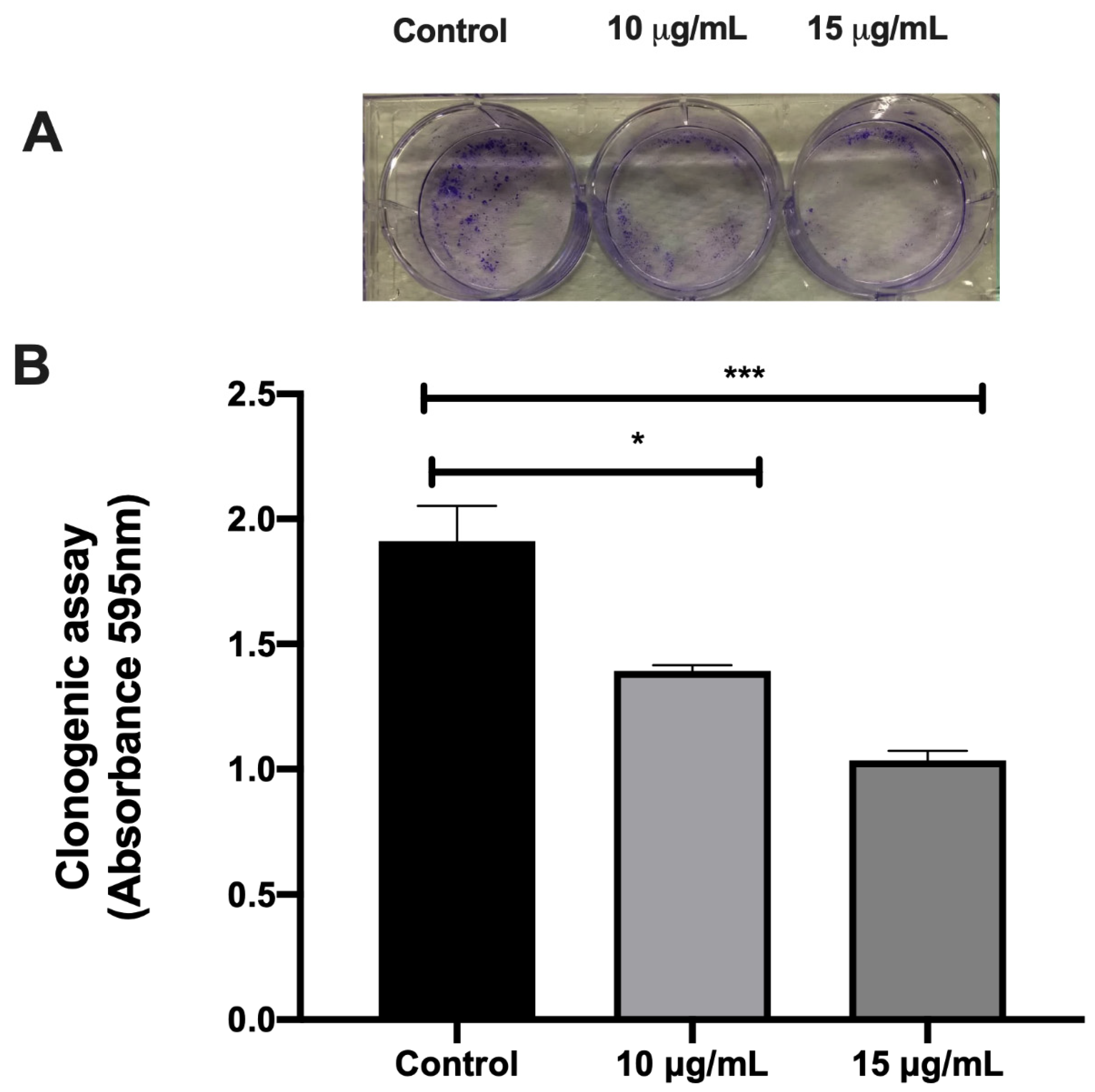 Molecules 26 03546 g008