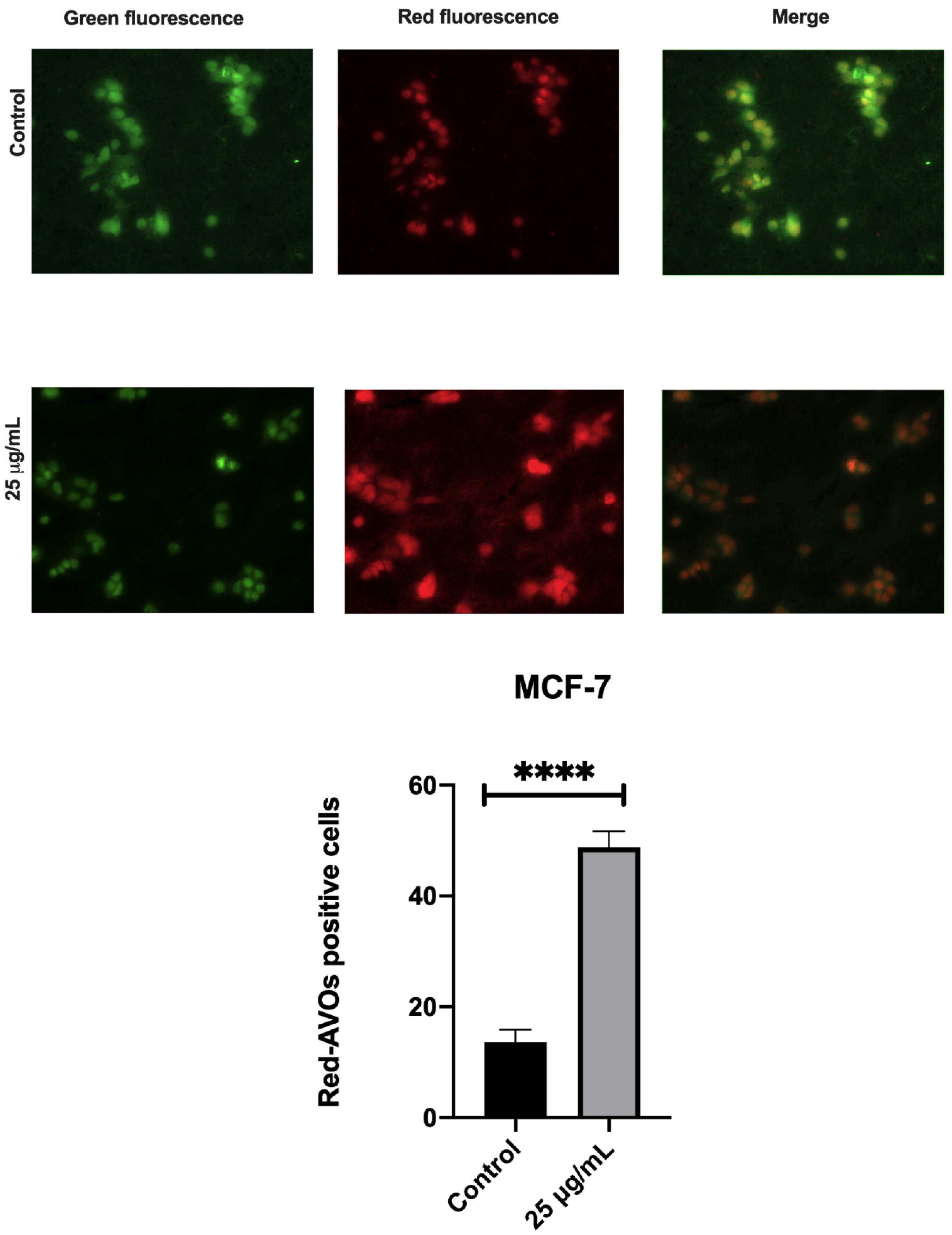 Molecules 26 03546 g011