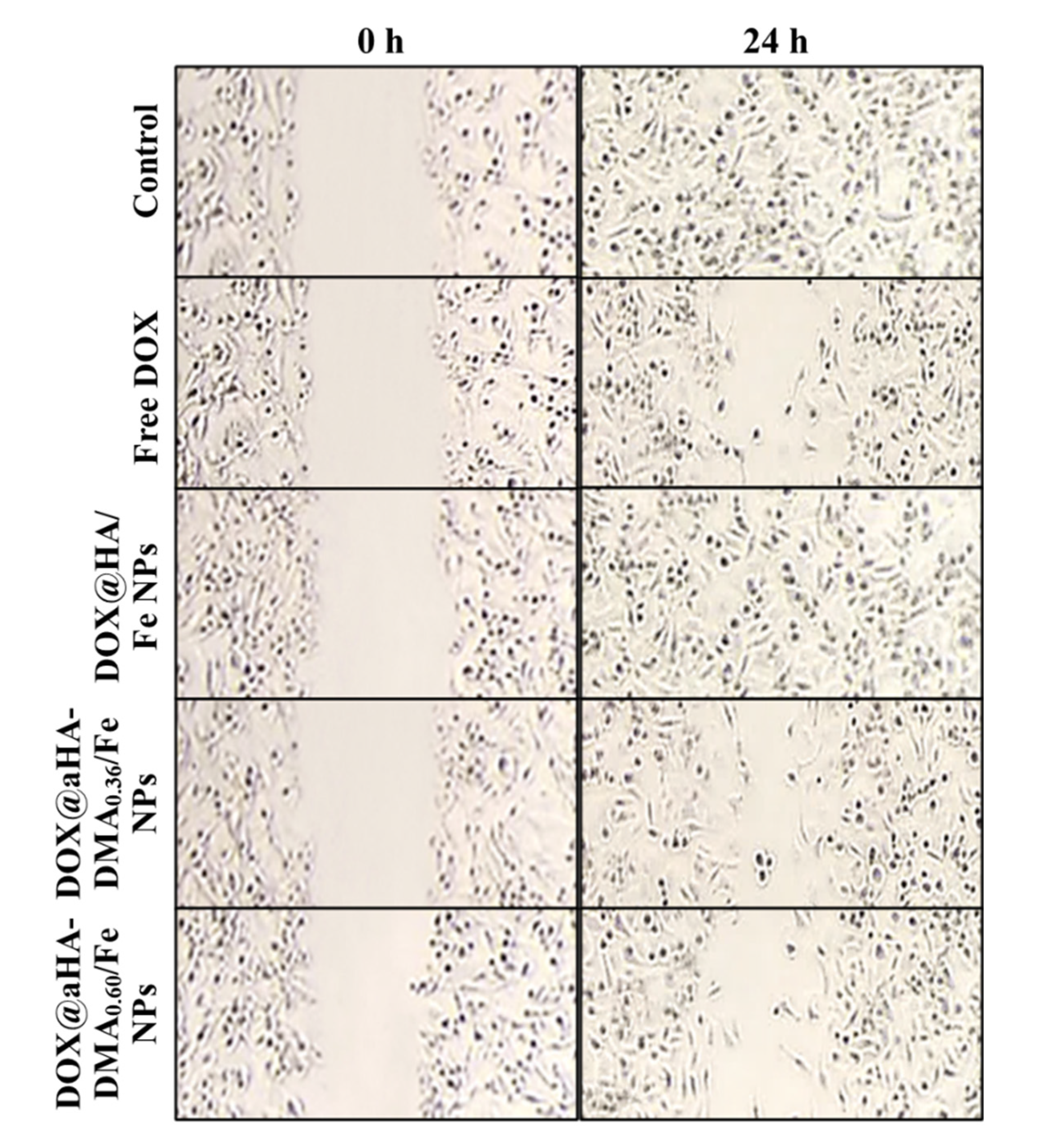 Molecules 26 03547 g006 Molecules 26 03547 g006