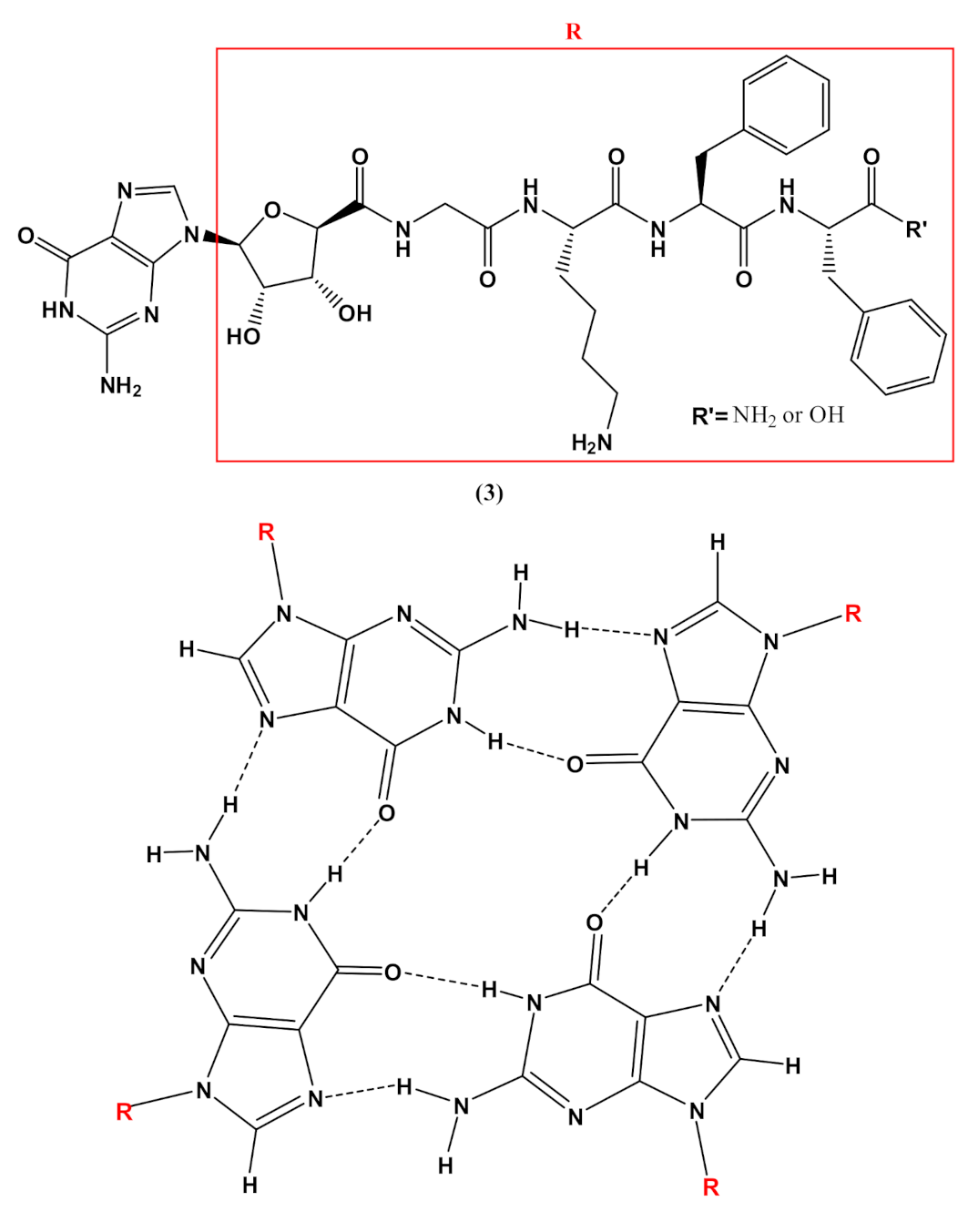 Molecules 26 03558 g004 Molecules 26 03558 g004