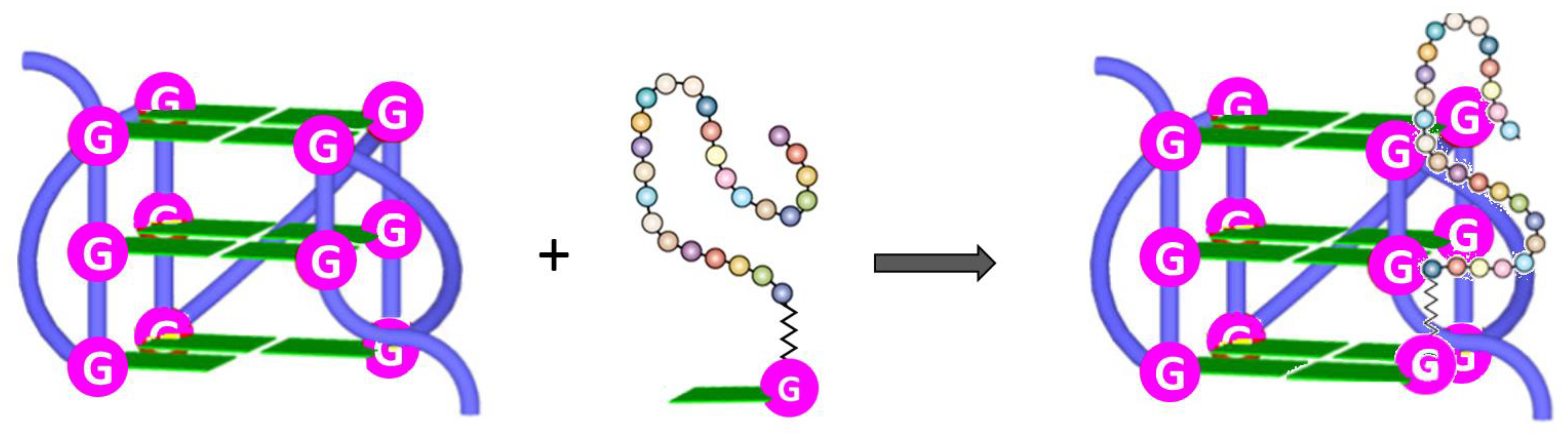 Molecules 26 03558 g006 Molecules 26 03558 g006