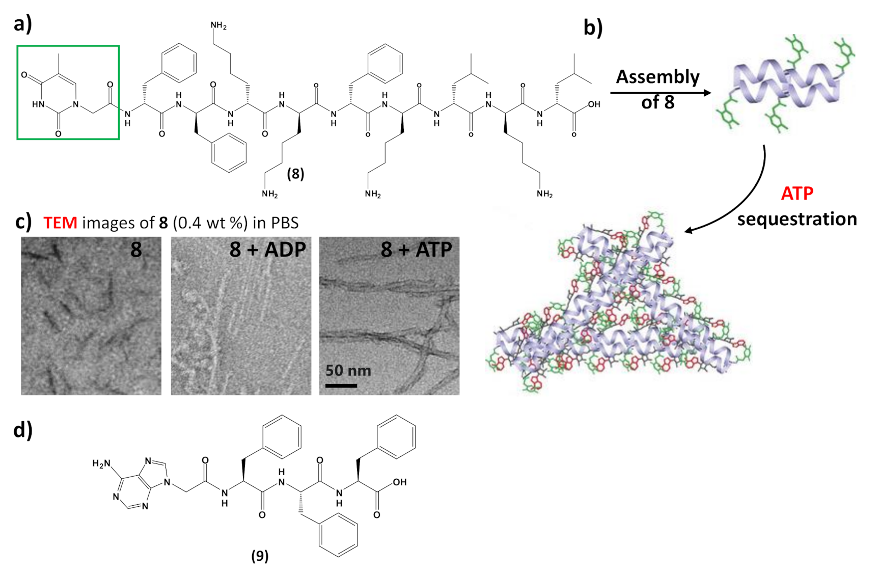 Molecules 26 03558 g009 Molecules 26 03558 g009