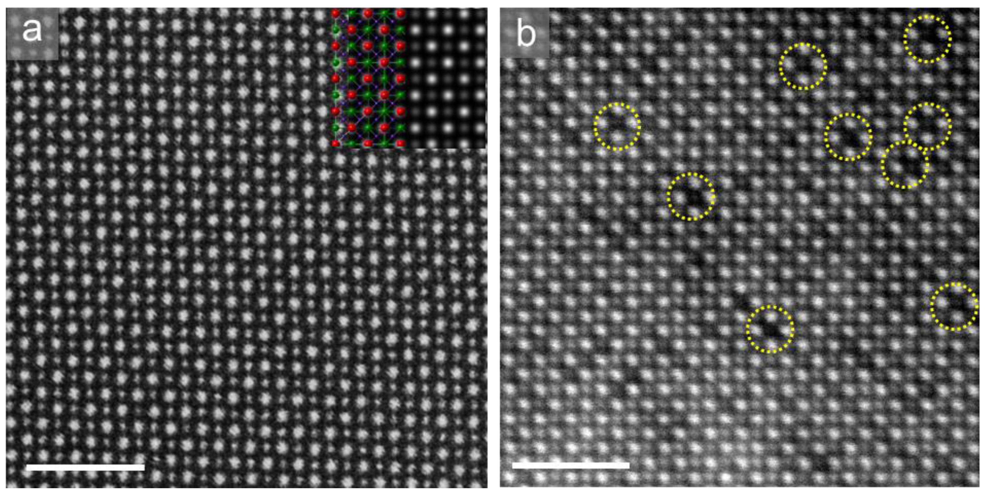 Molecules 26 03559 g003 Molecules 26 03559 g003
