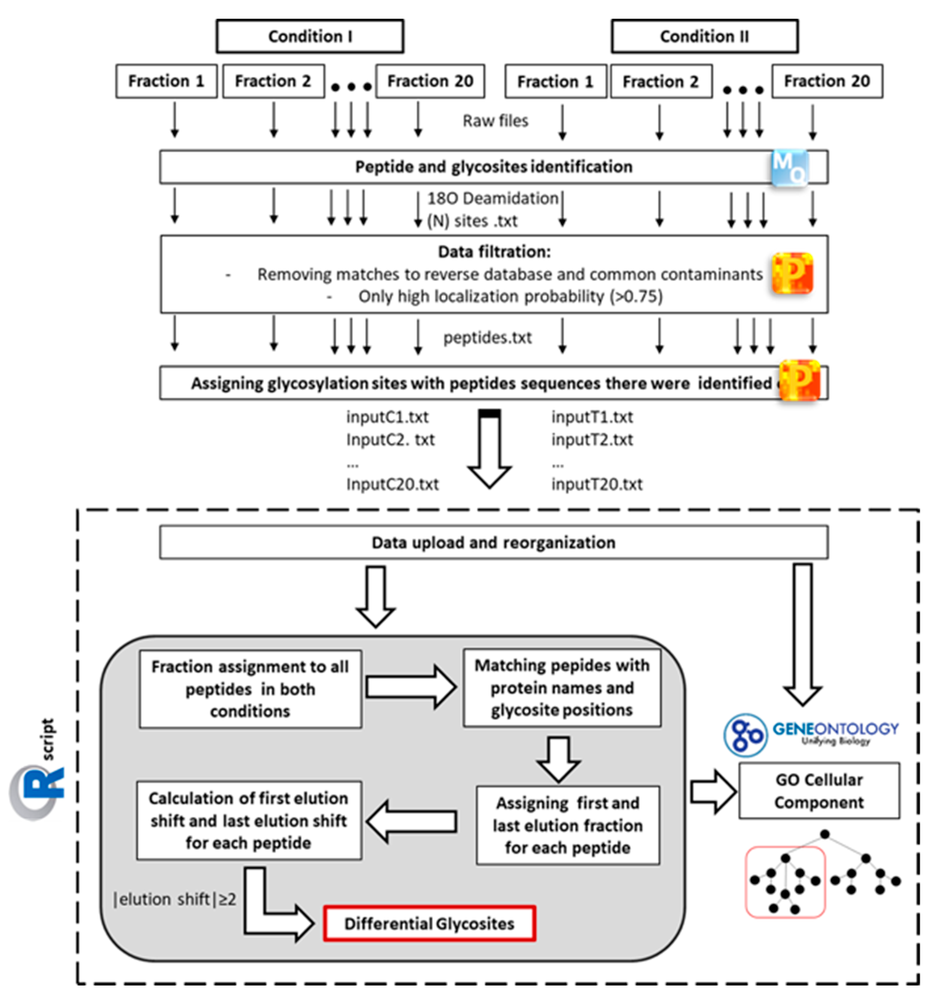 Molecules 26 03564 g002 Molecules 26 03564 g002