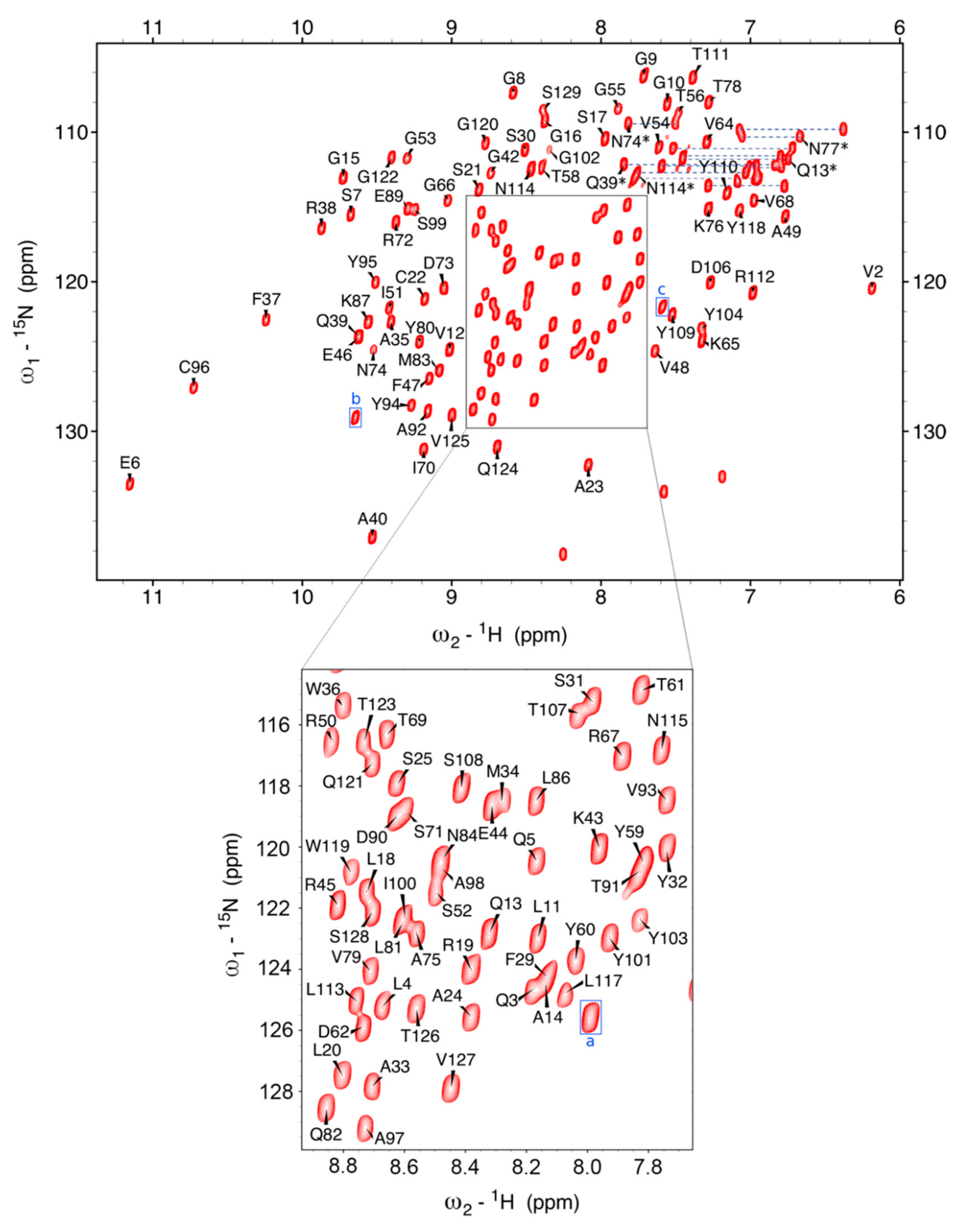 Molecules 26 03567 g001 Molecules 26 03567 g001