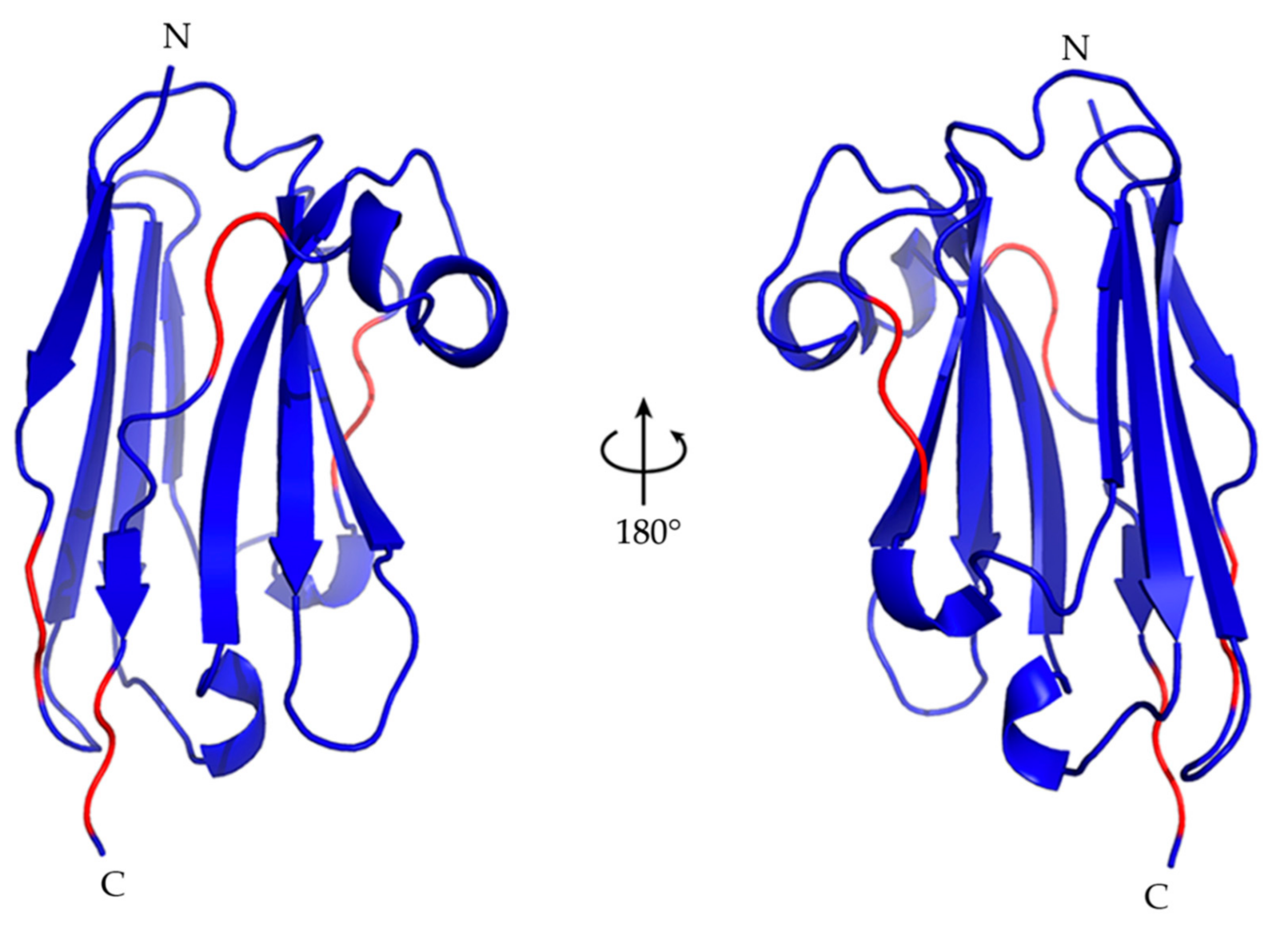 Molecules 26 03567 g004 Molecules 26 03567 g004