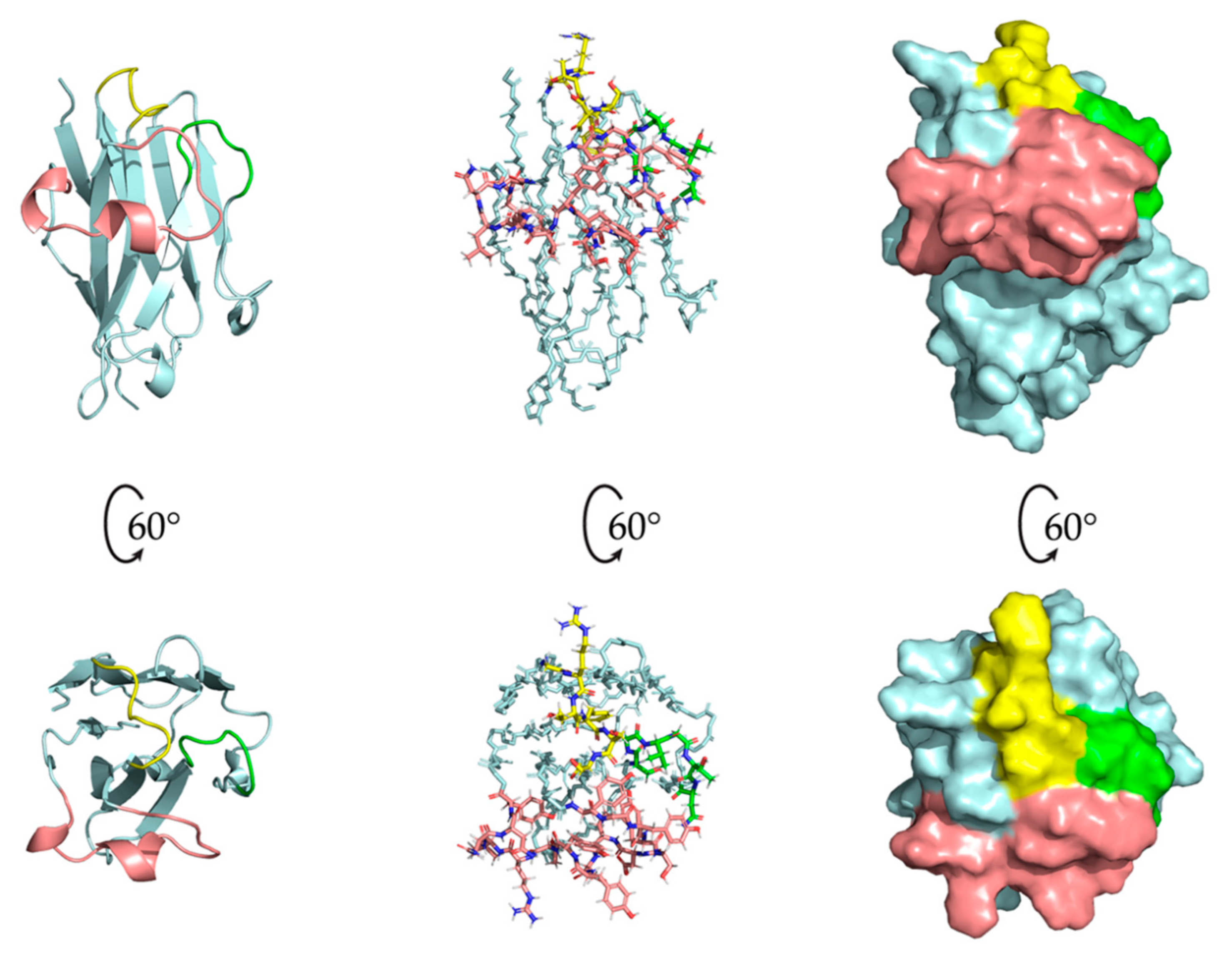 Molecules 26 03567 g006 Molecules 26 03567 g006