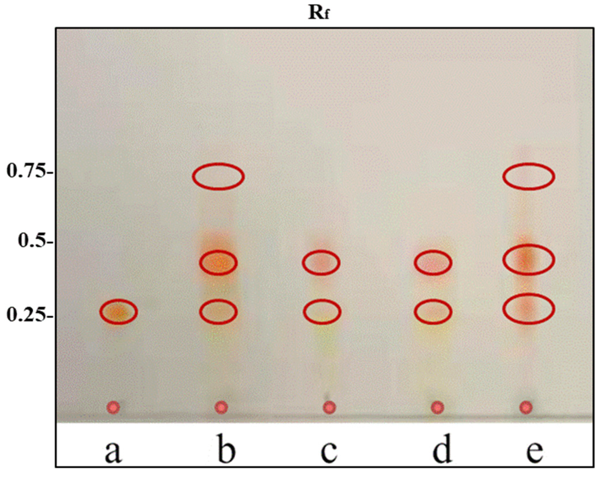 Molecules 26 03569 g001