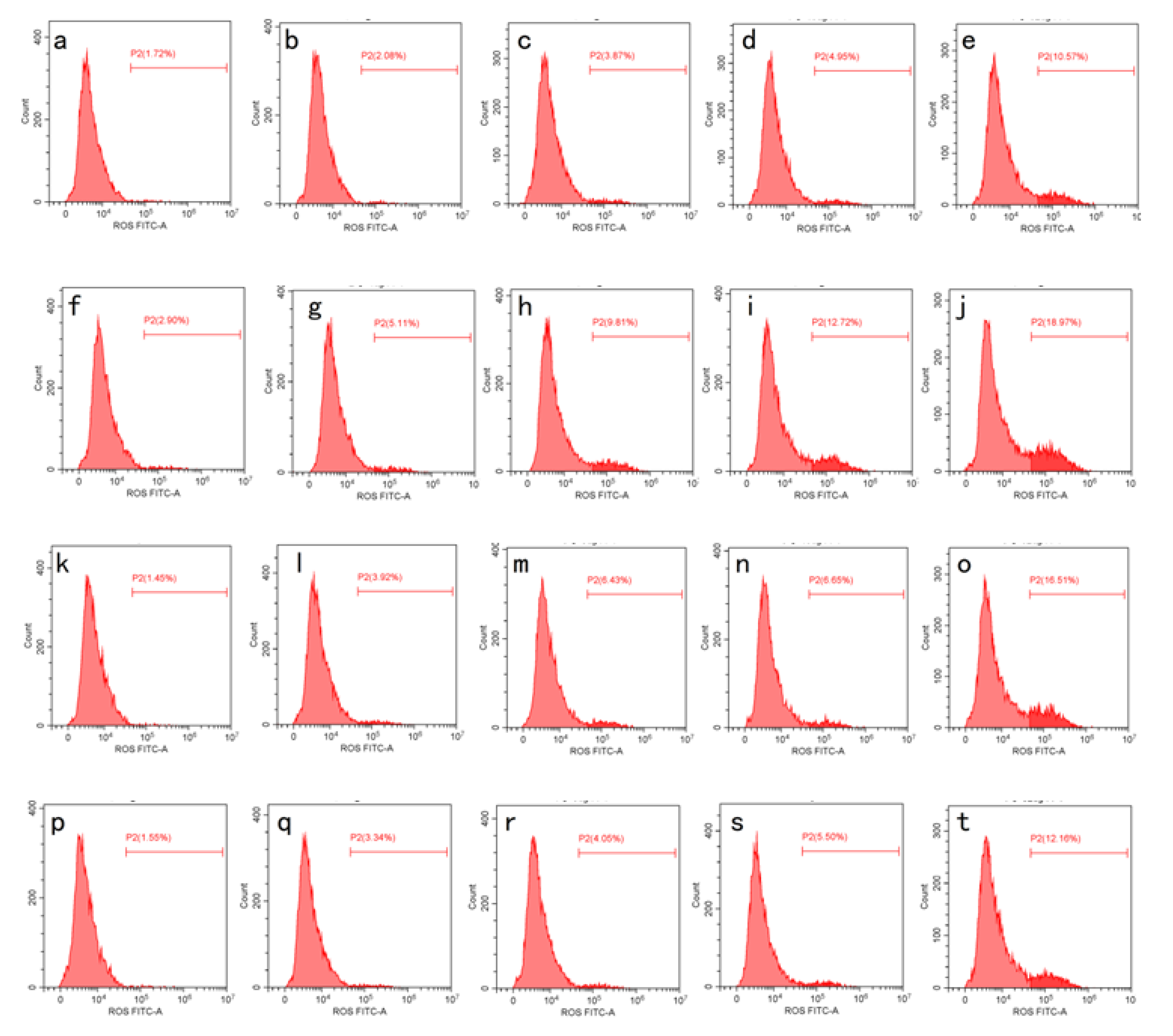 Molecules 26 03569 g006