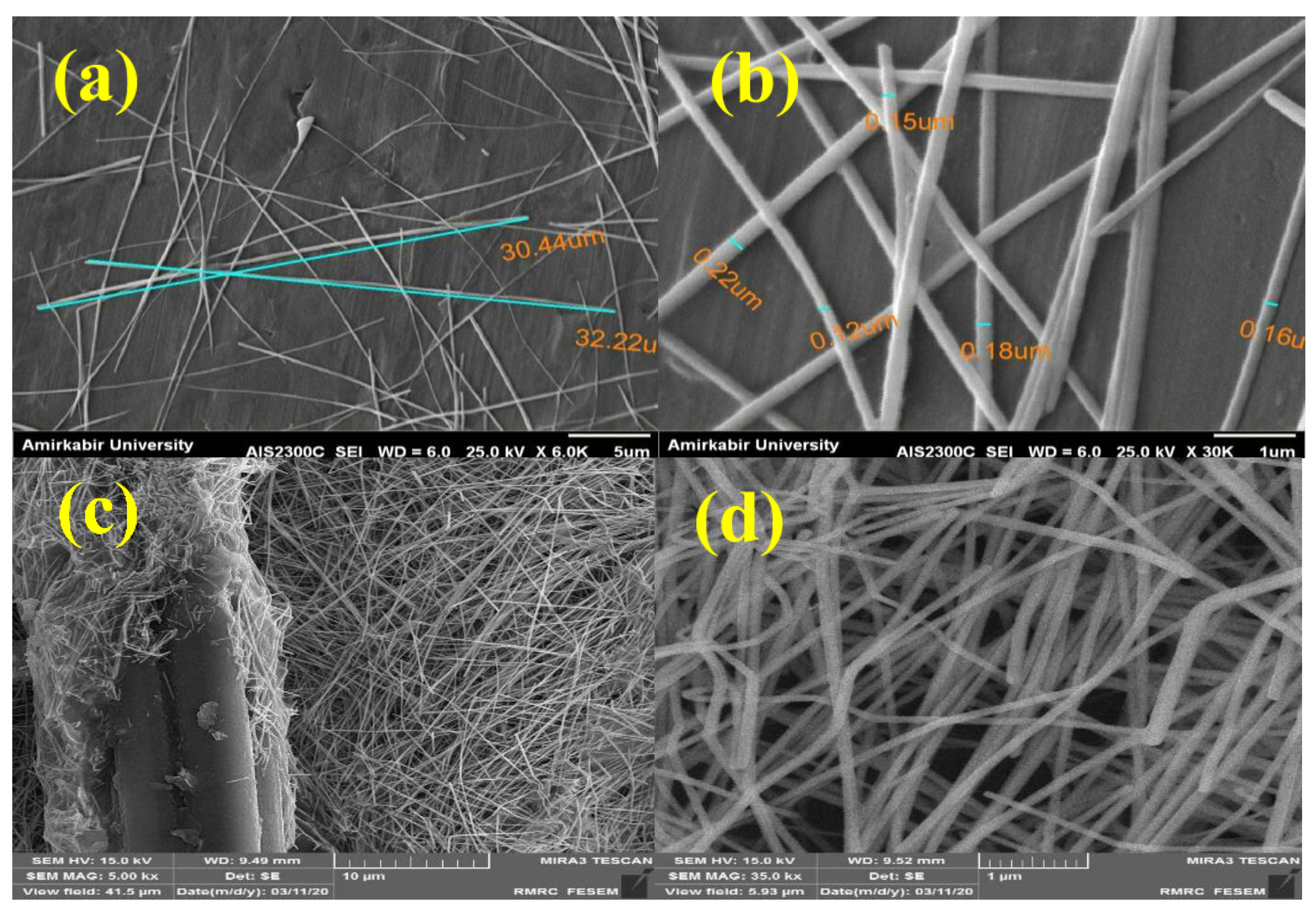 Molecules 26 03570 g002 Molecules 26 03570 g002