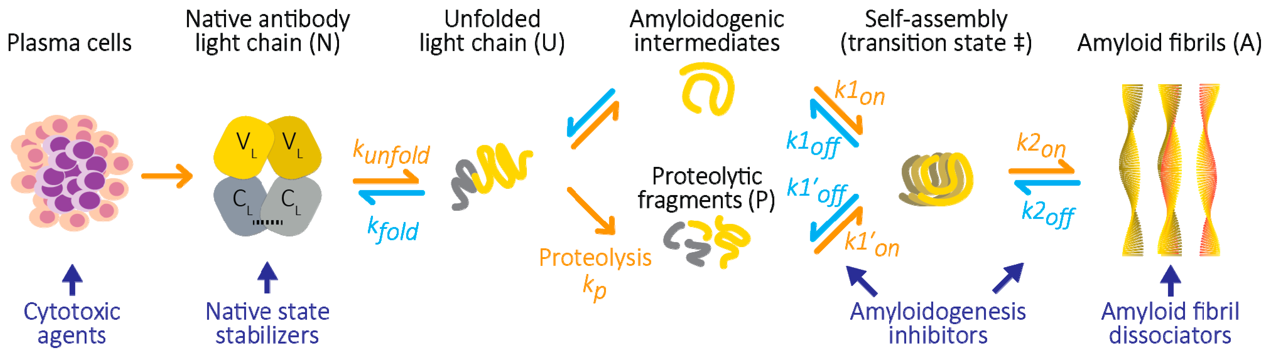 Molecules 26 03571 g001