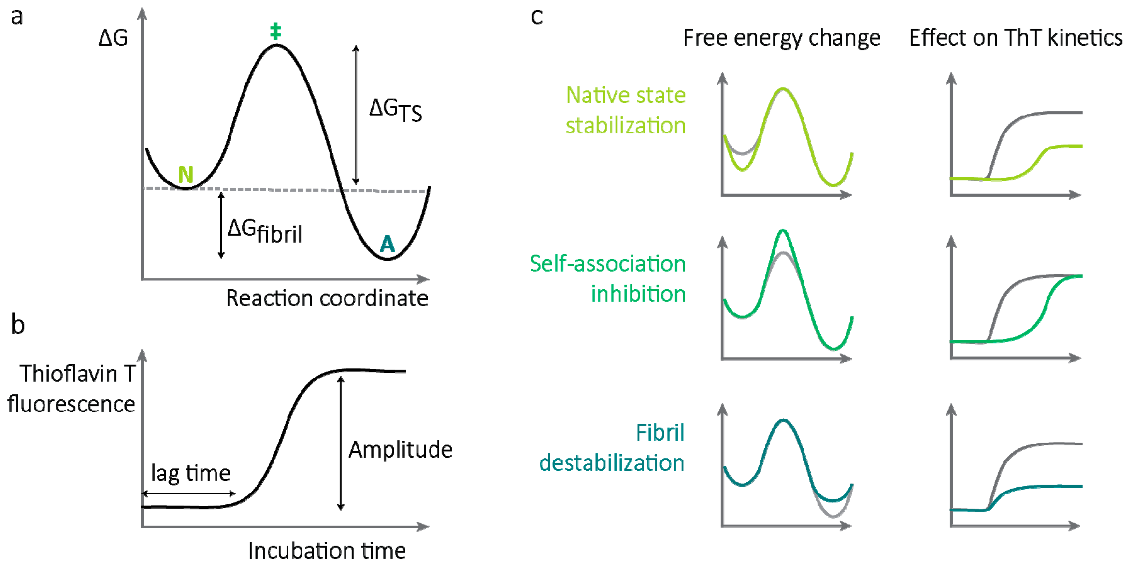 Molecules 26 03571 g002