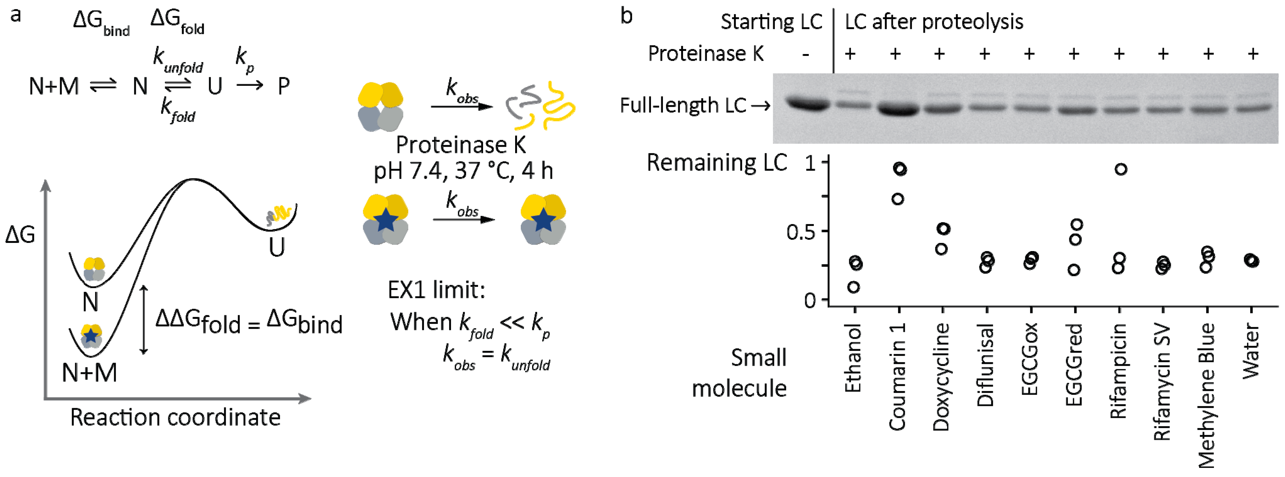 Molecules 26 03571 g004