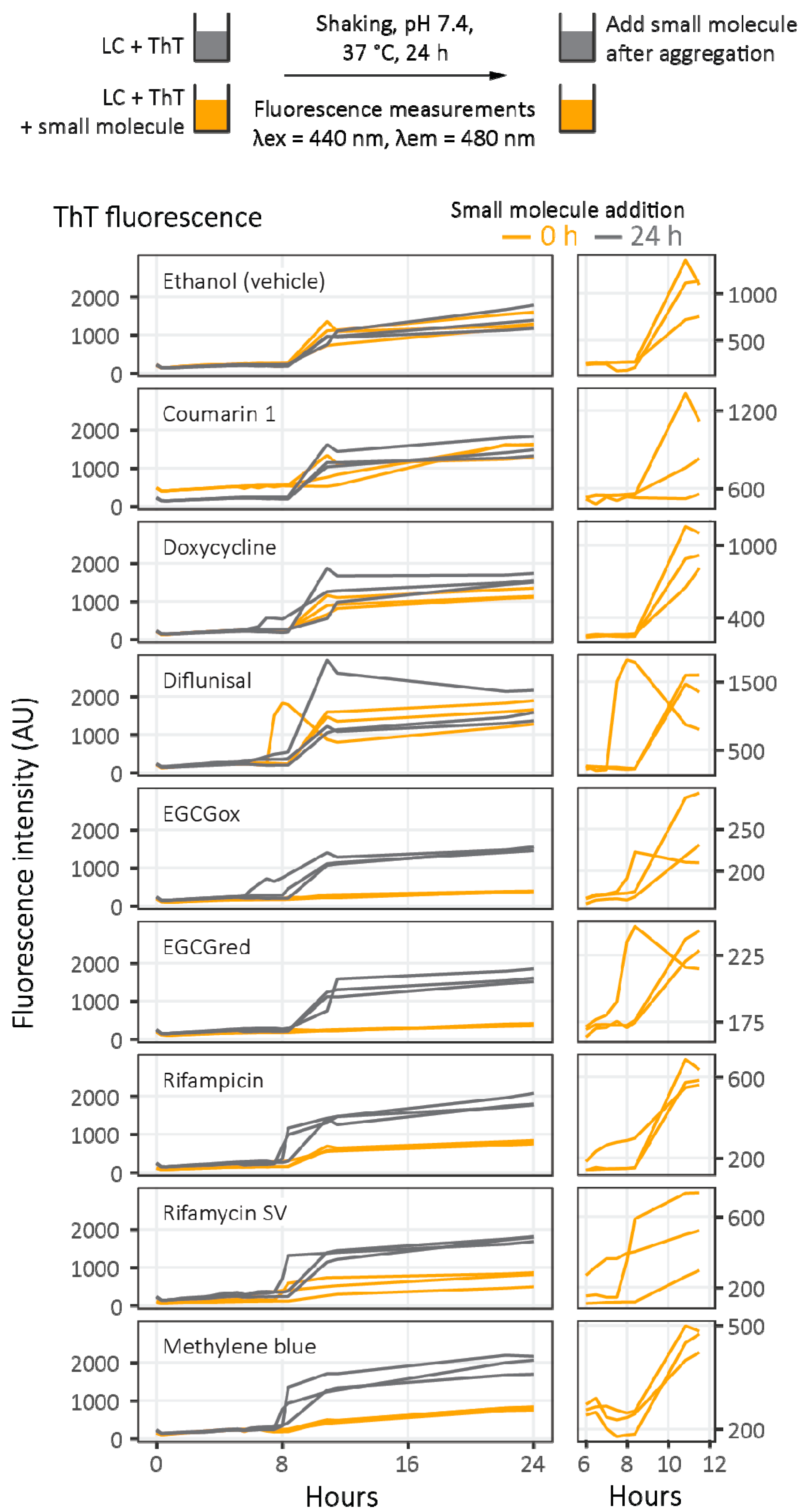 Molecules 26 03571 g006
