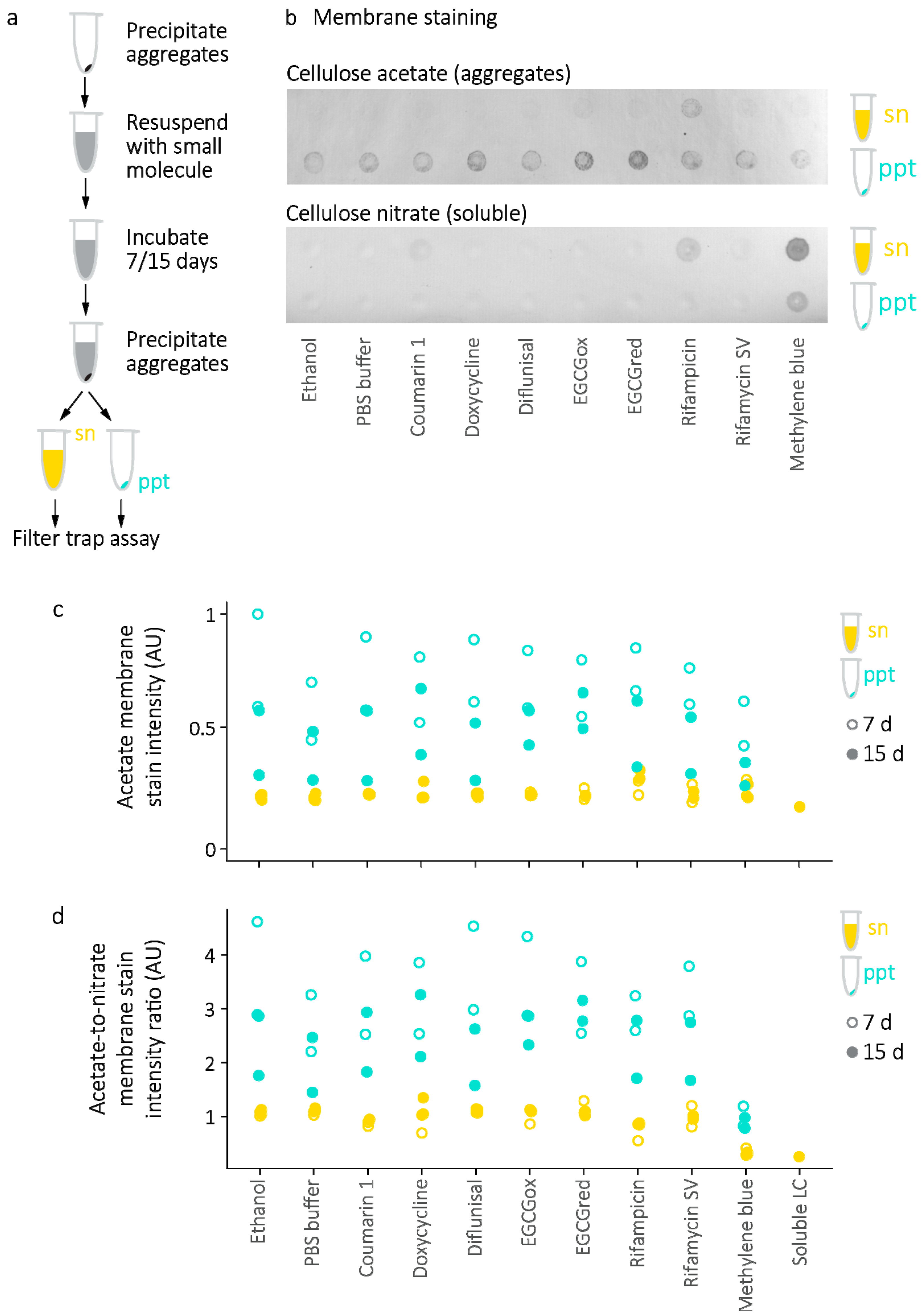 Molecules 26 03571 g009