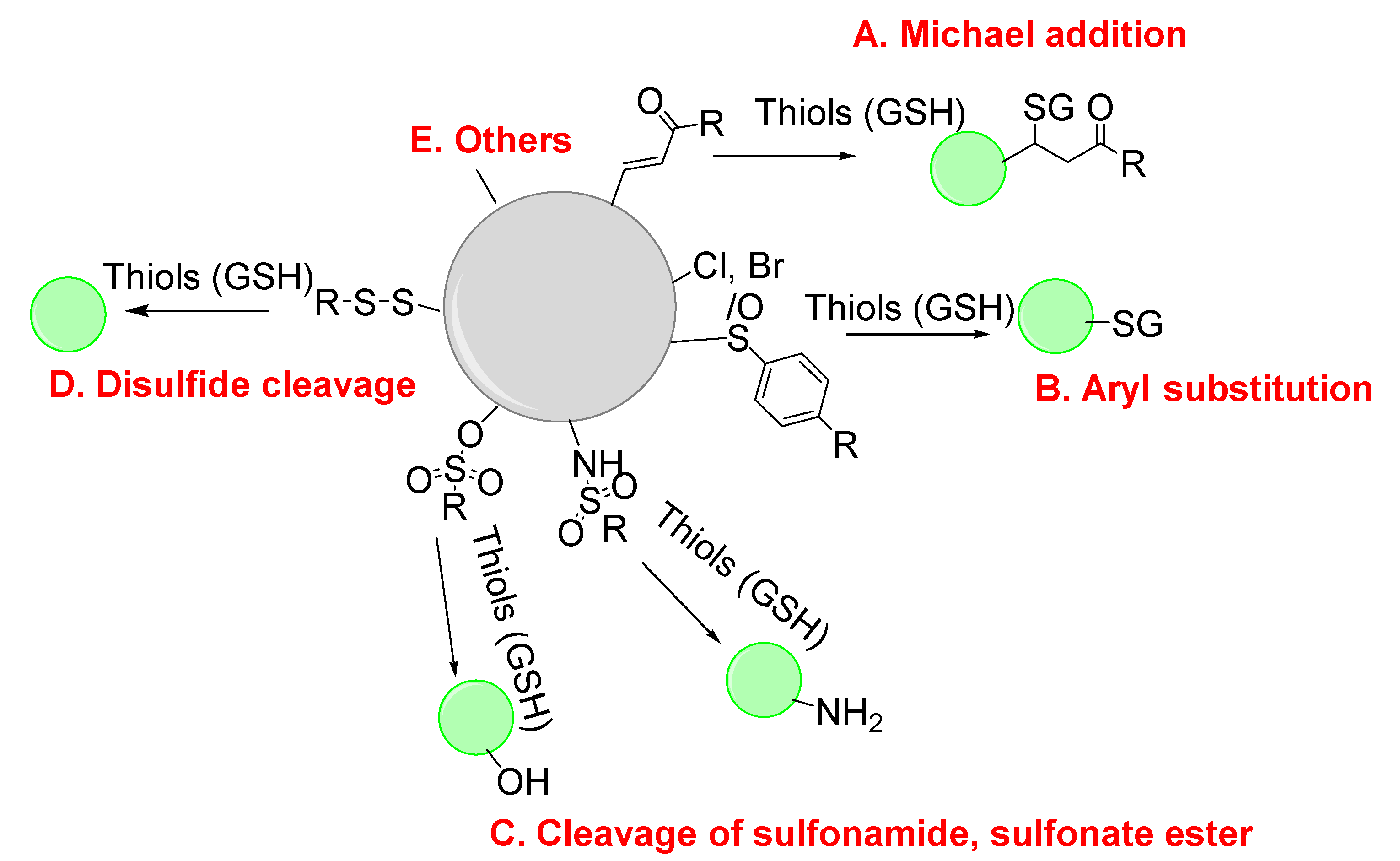Molecules 26 03575 g002