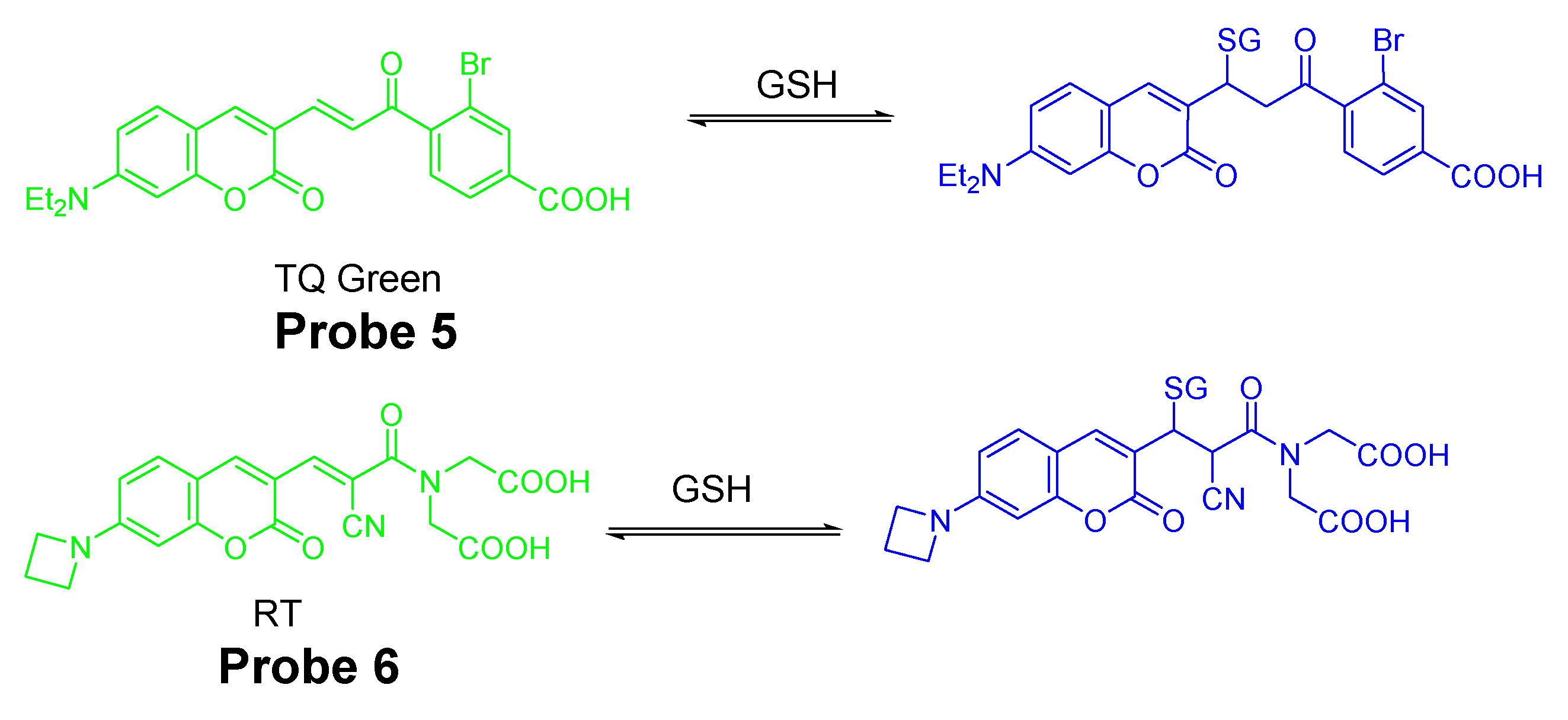 Molecules 26 03575 g006