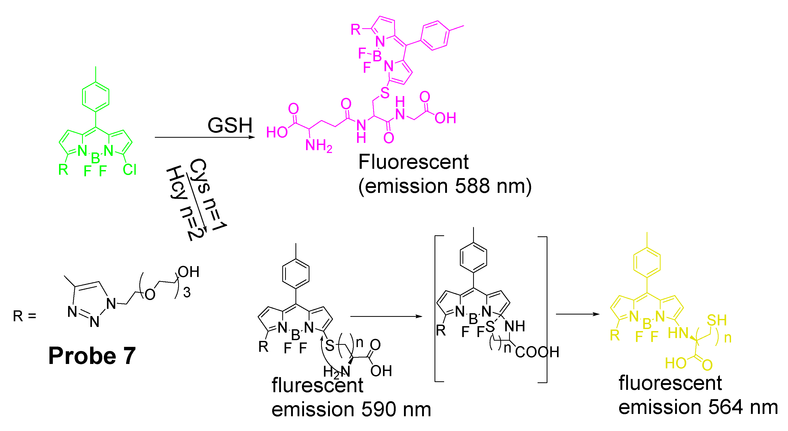 Molecules 26 03575 g007